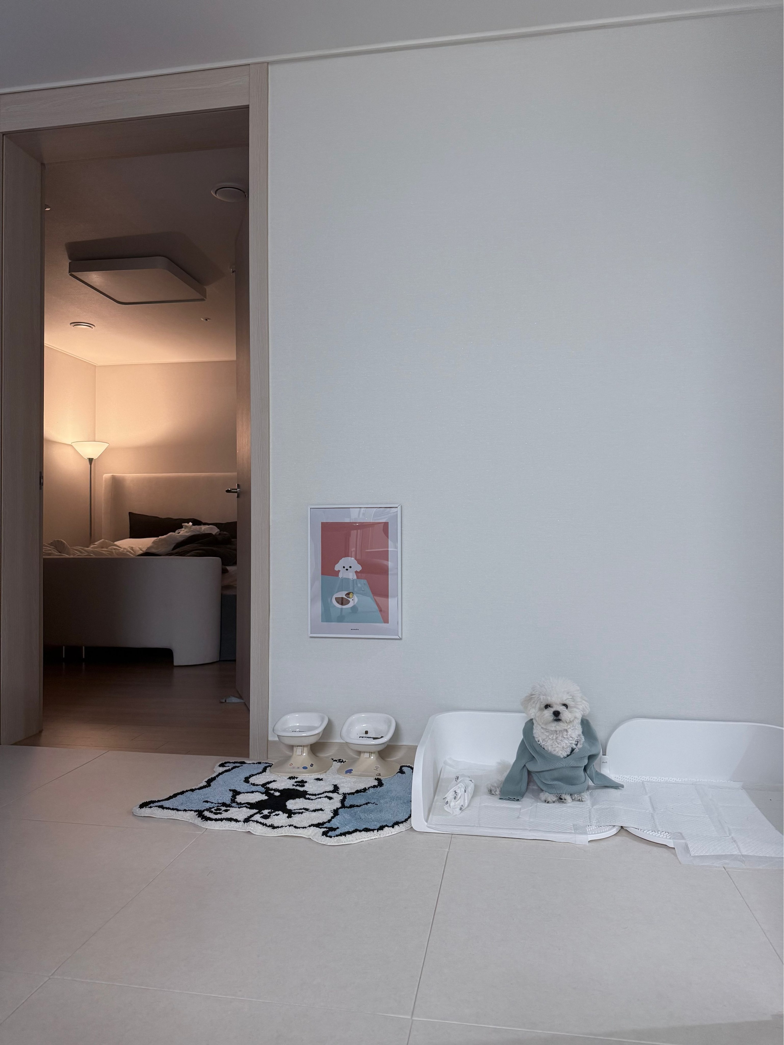 Bichon Pillow Tufted Accent Rug user photo