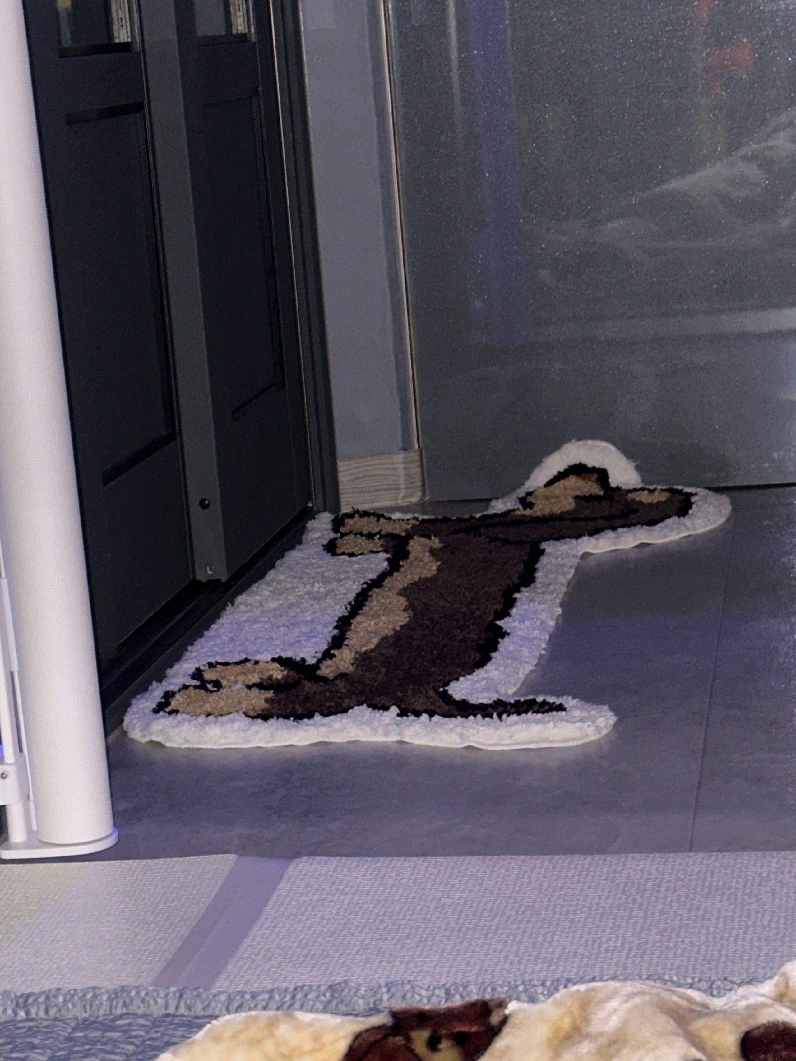 Dachshund Tufted Accent Rug user photo