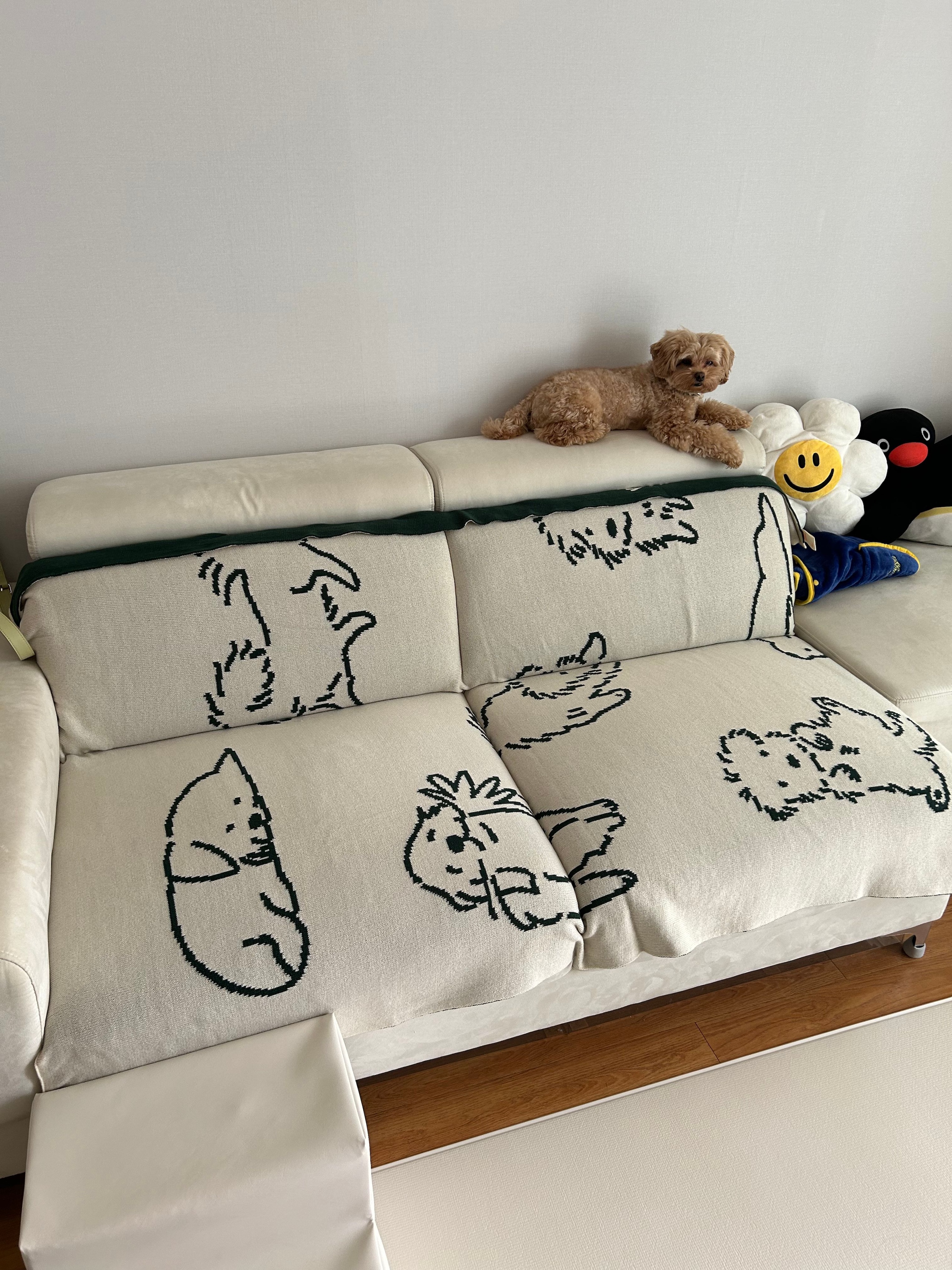 Puppy Reversible Knit Blanket user photo