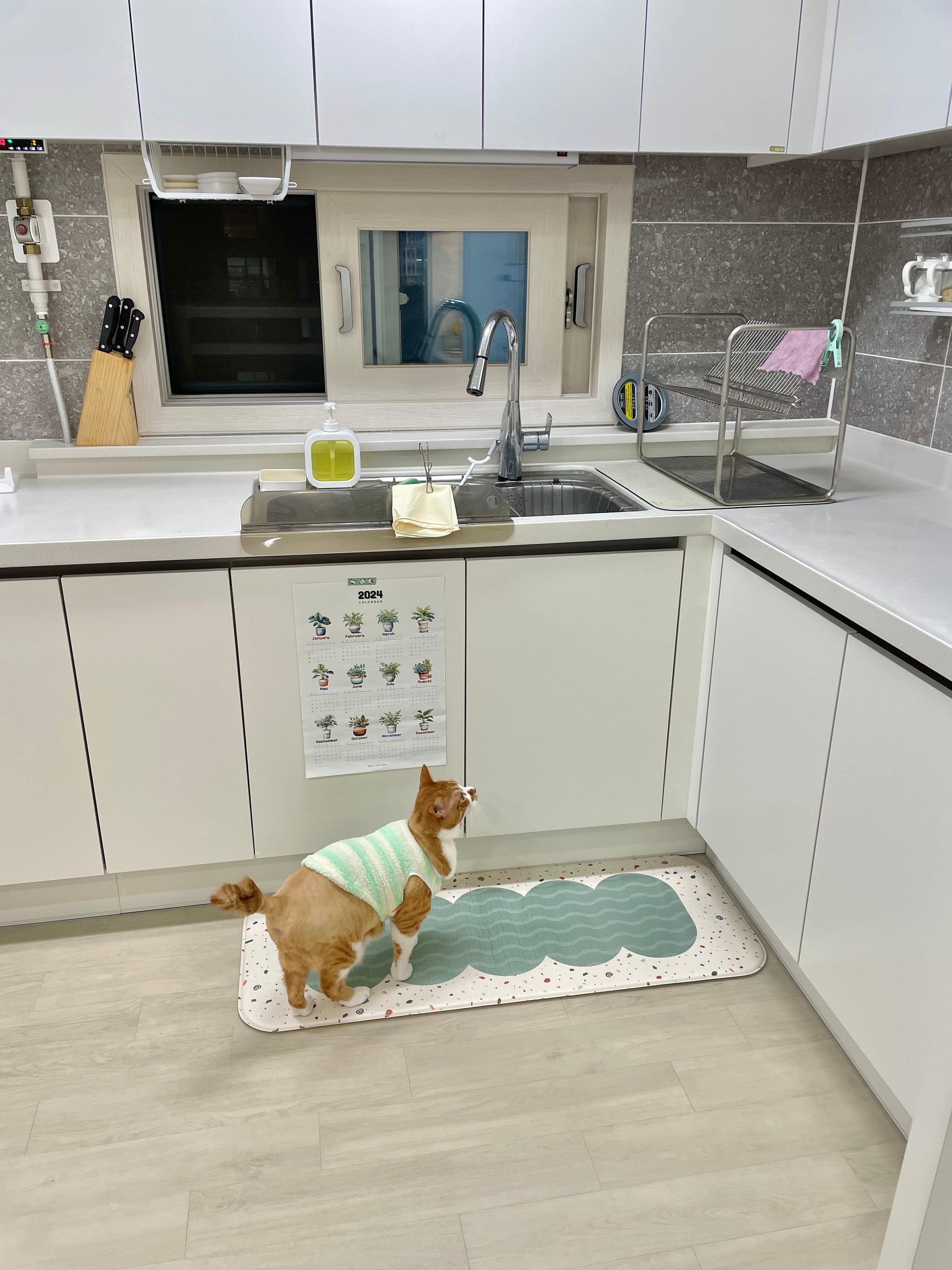 Wave Terrazzo Kitchen Cushion Mat user photo
