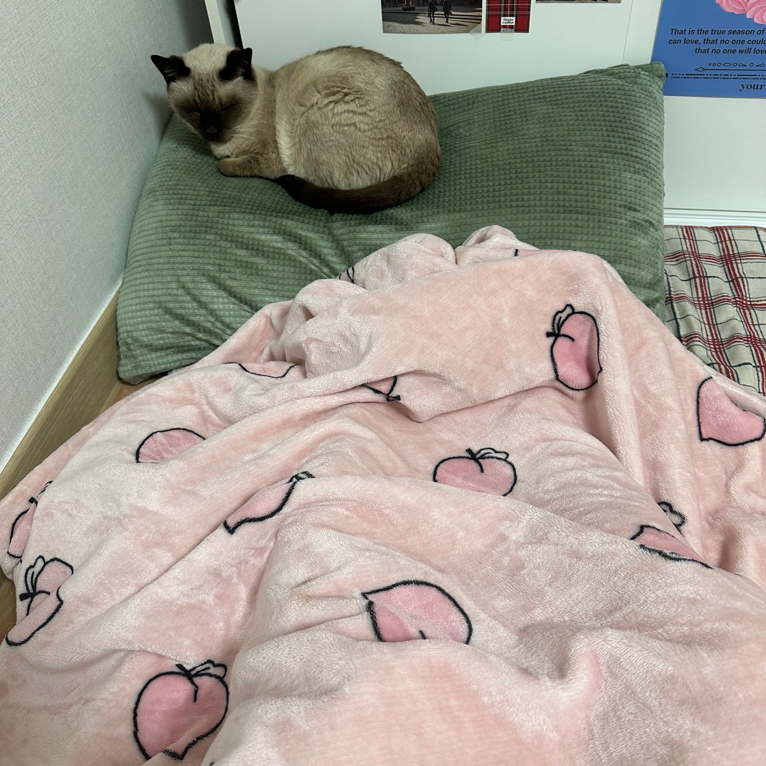 Momozzing Plush Blanket & Comforter user photo