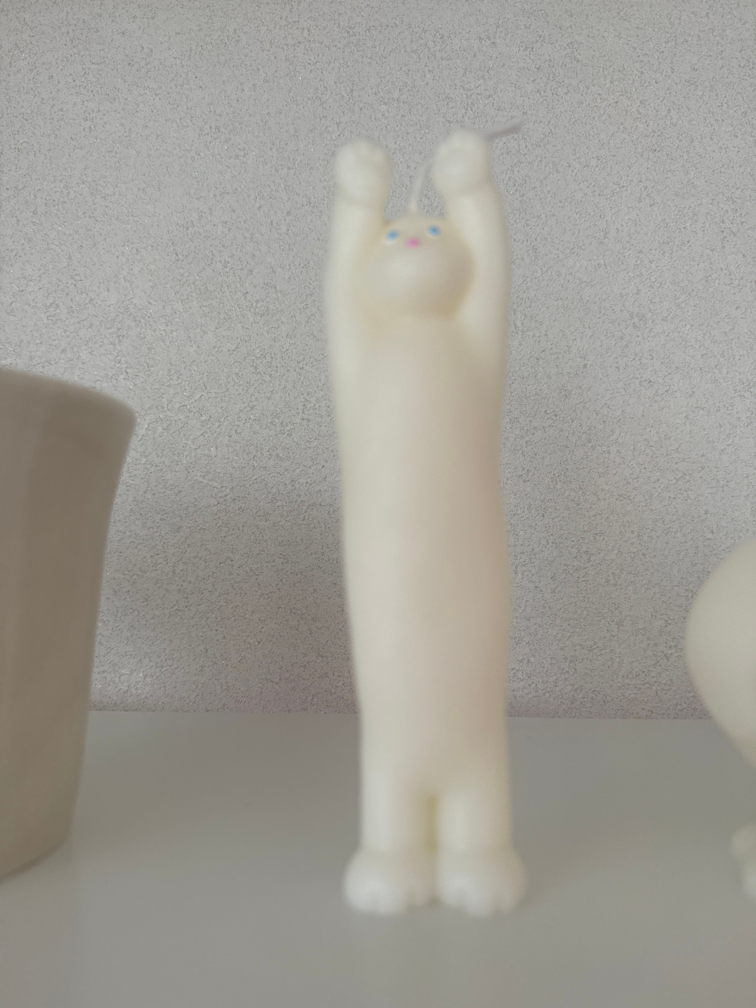 Stretchy Cat Object Candle user photo