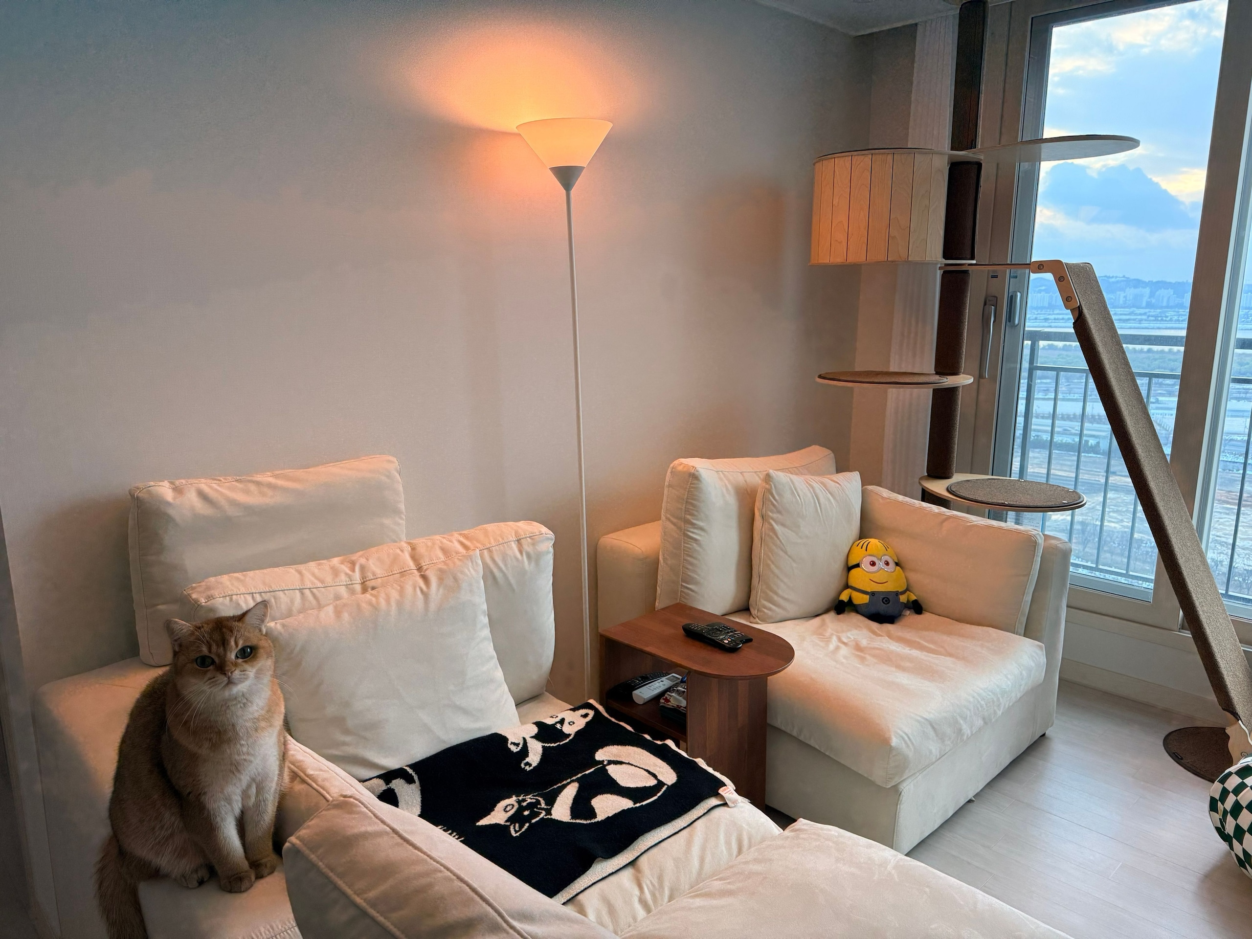 Reversible Cat Knit Blanket user photo