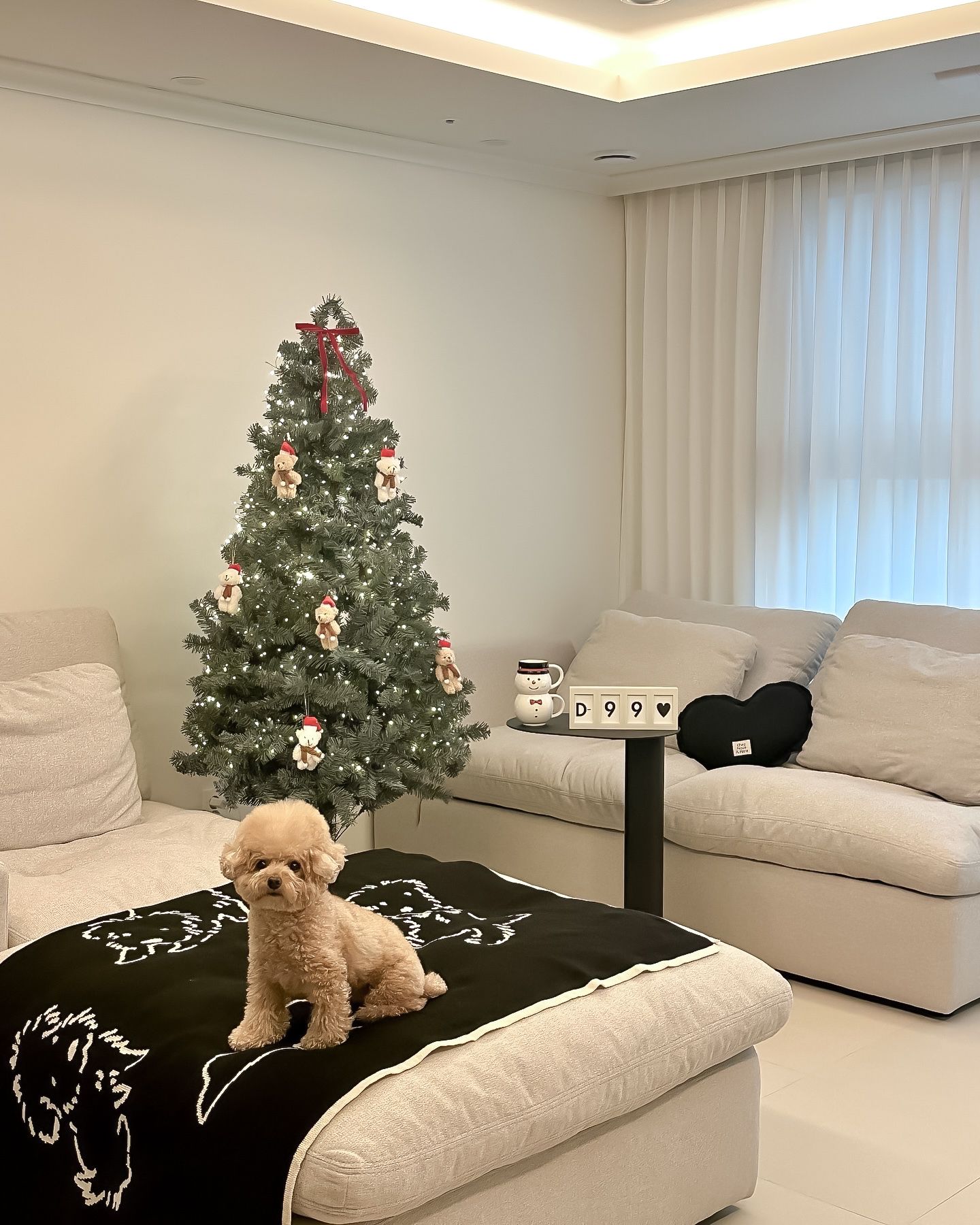 Puppy Reversible Knit Blanket user photo