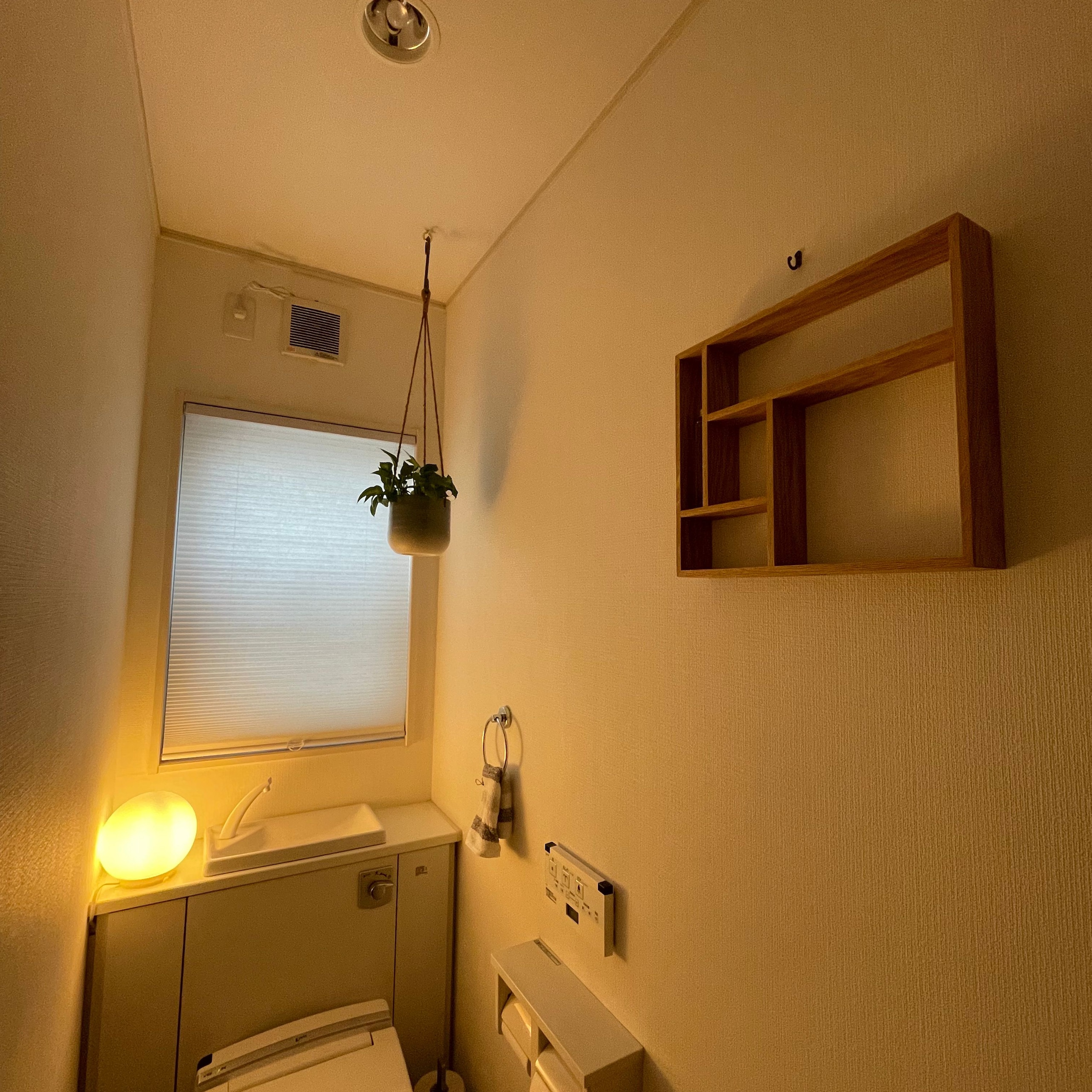 ニトリ コードレスハニカムシェード(サージュ2 )［2サイズ