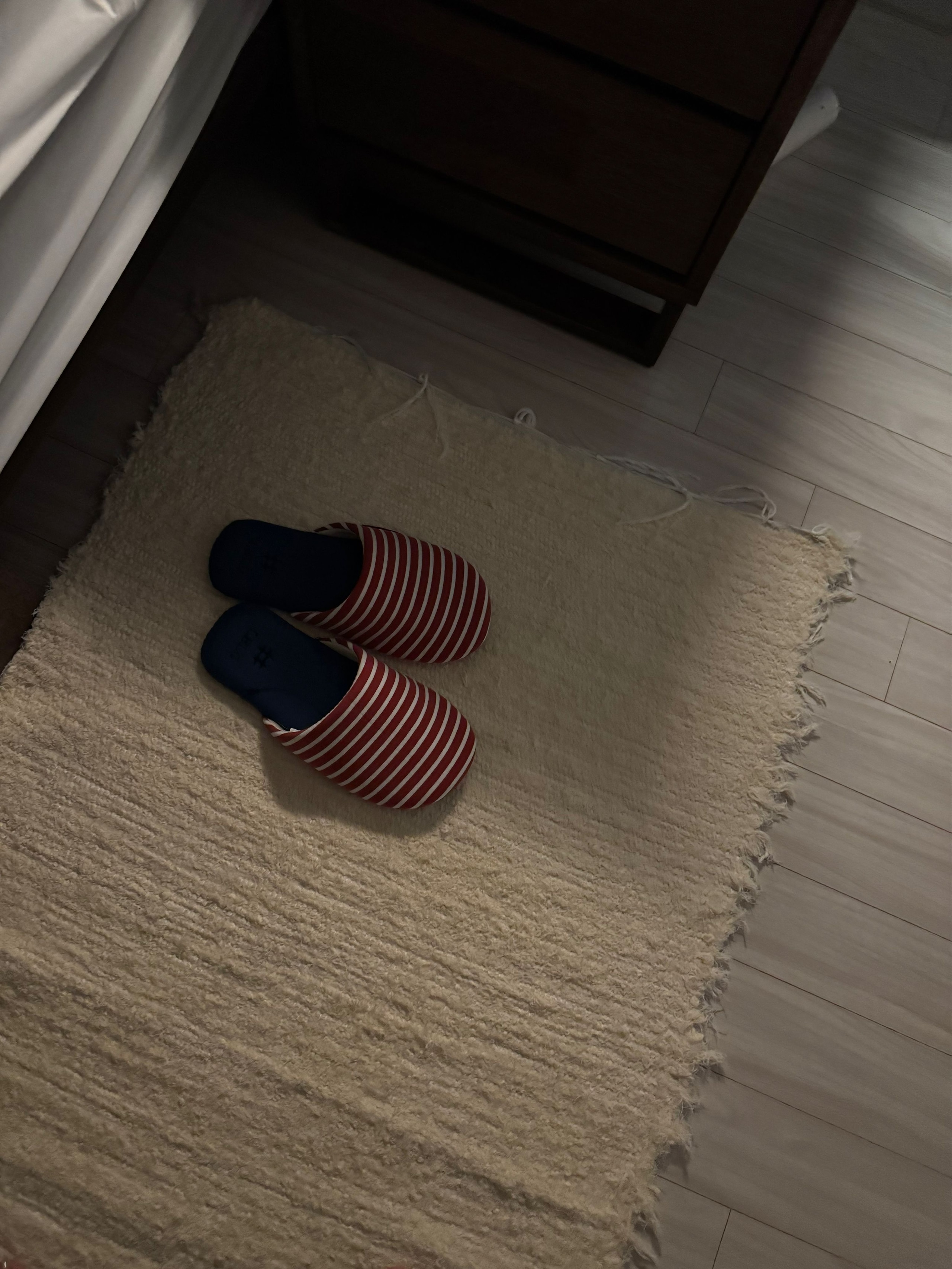 Monica Stripe Room Slippers (10 colors) user photo