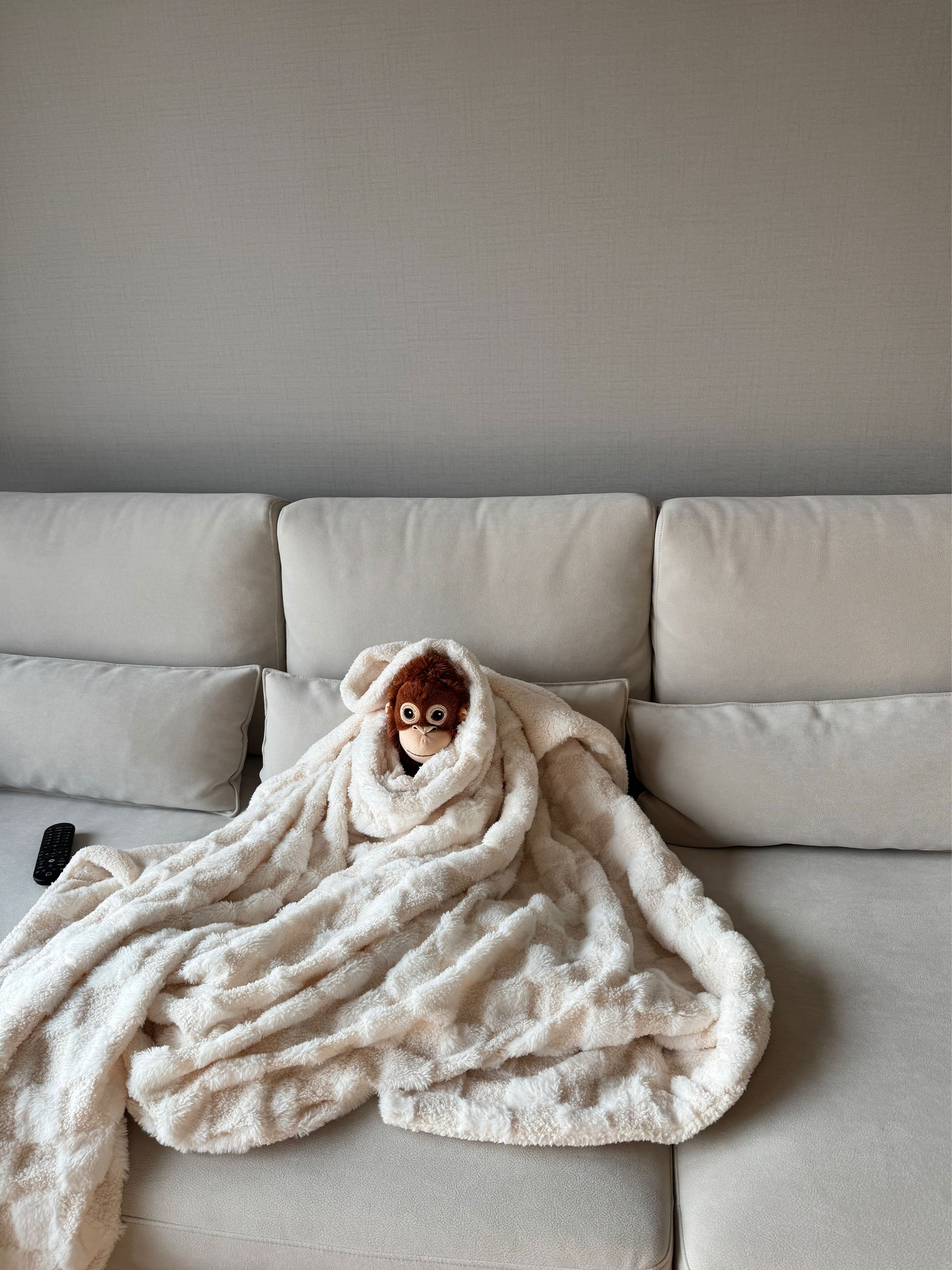 Fluffy Check Winter Blanket user photo