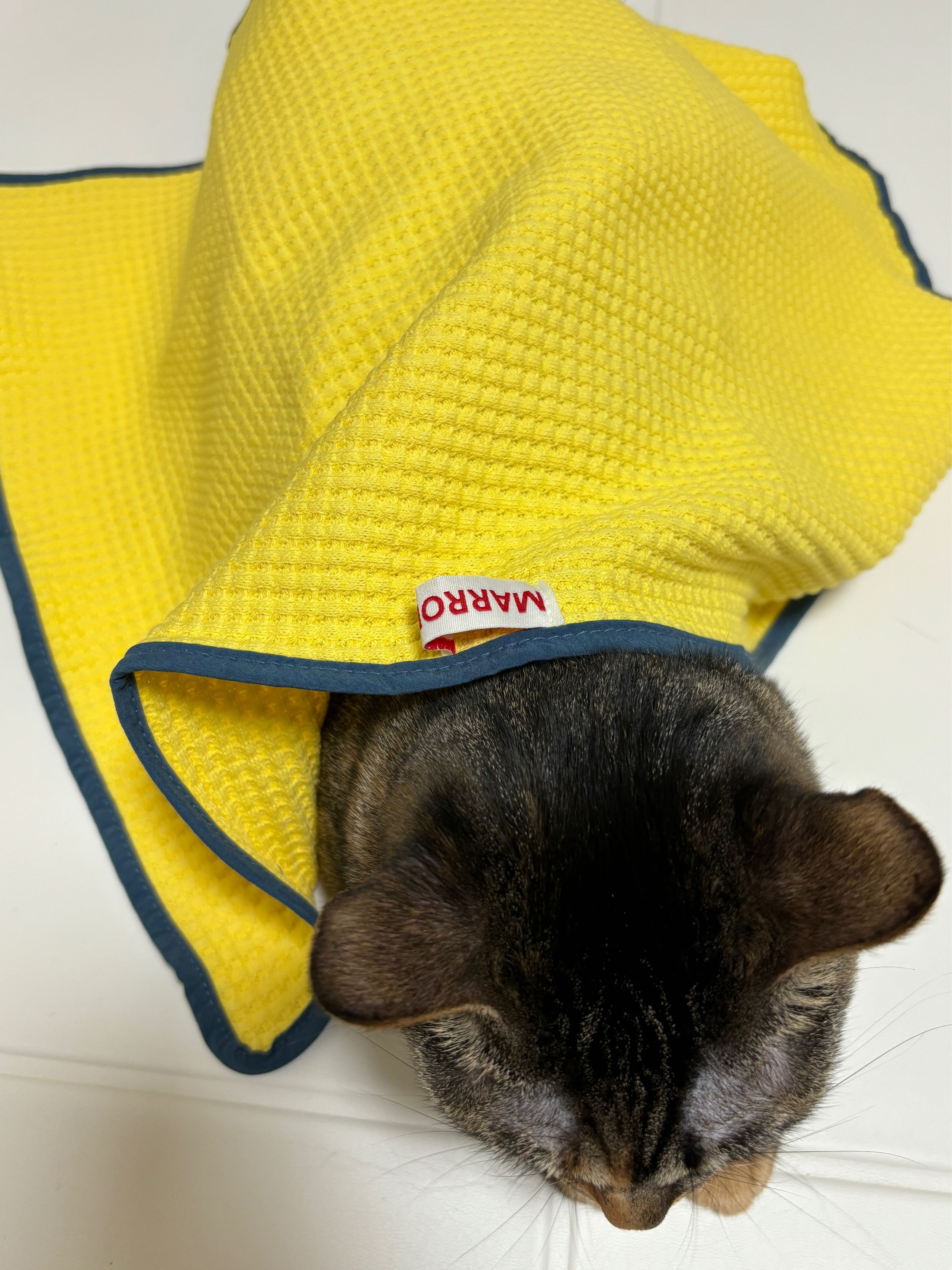 Marrons Kitchen Cloth user photo