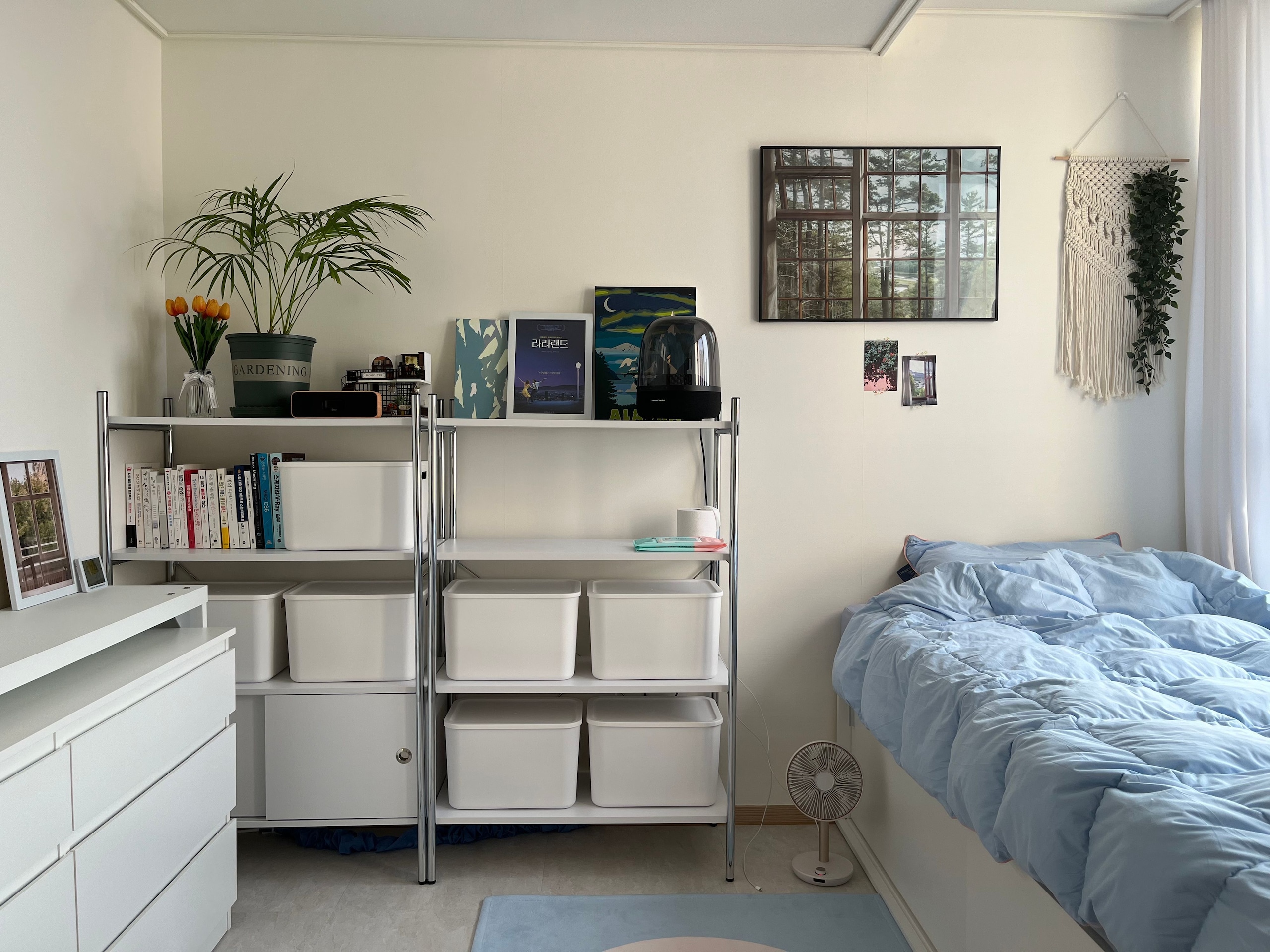 Microfiber Graphic Rug user photo