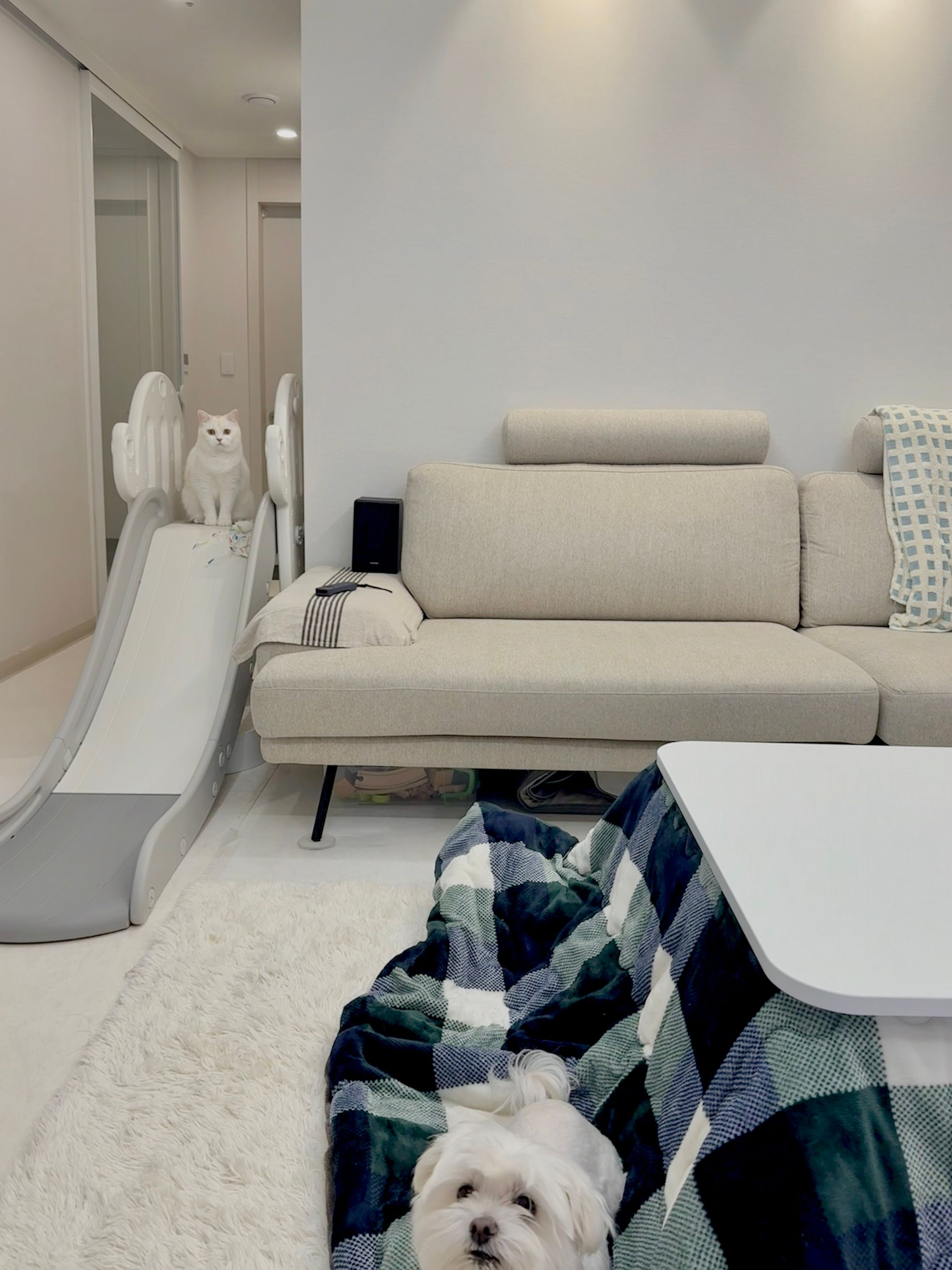 Oz Double-Sided Microfiber Blanket user photo
