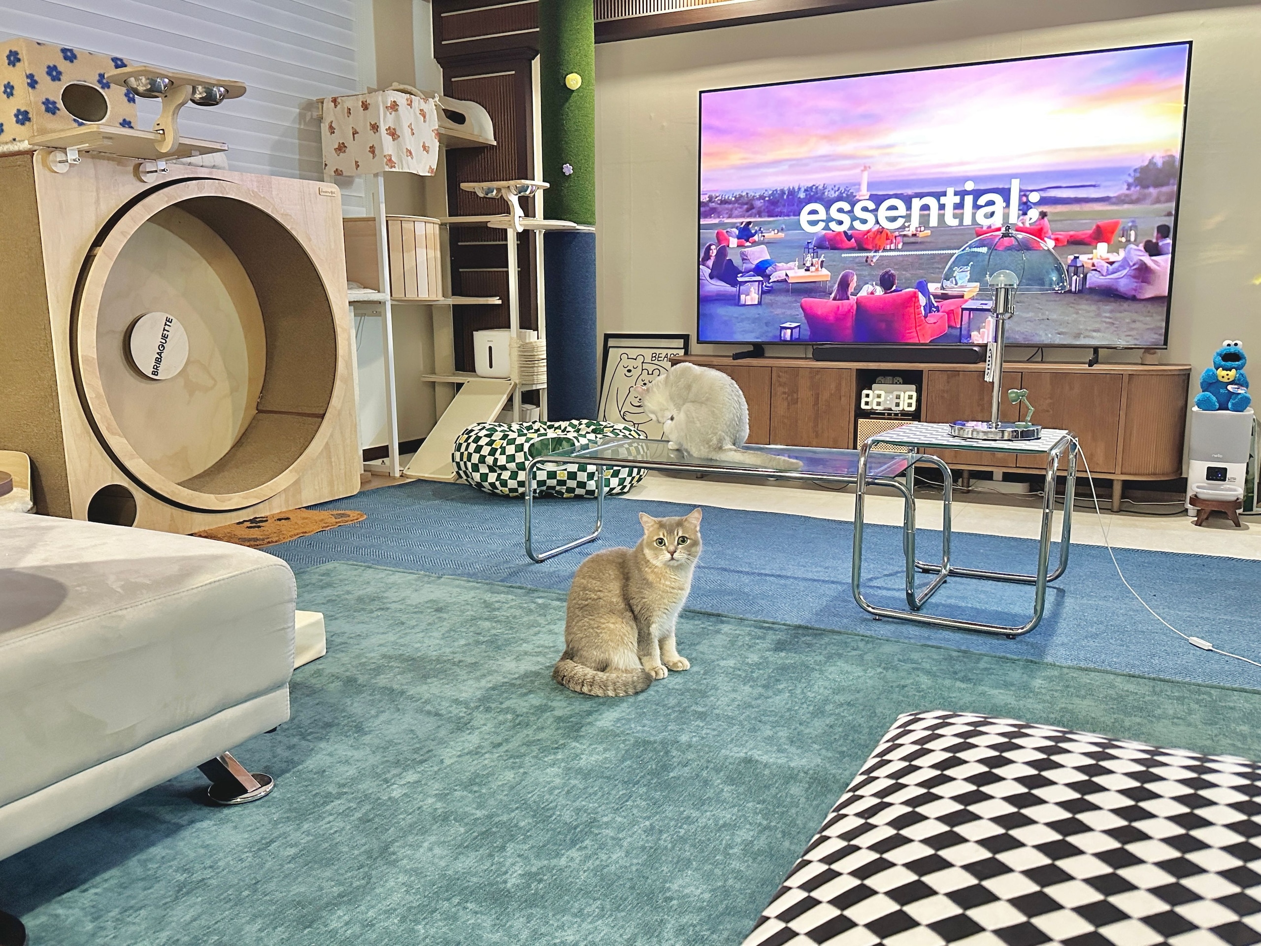 Point Canoe Chrome Mid-Century Coffee Table user photo