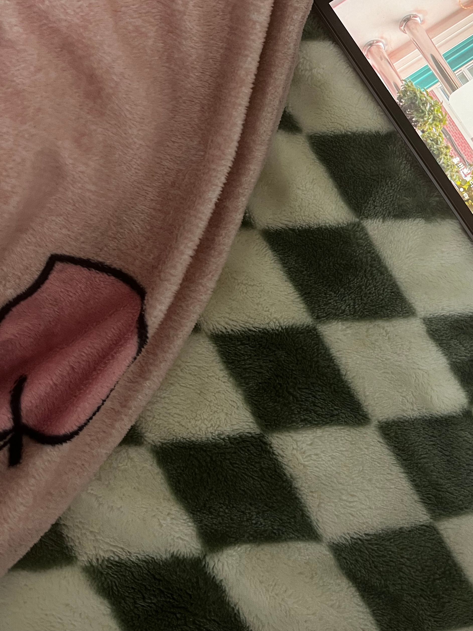 Momozzing Plush Blanket & Comforter user photo