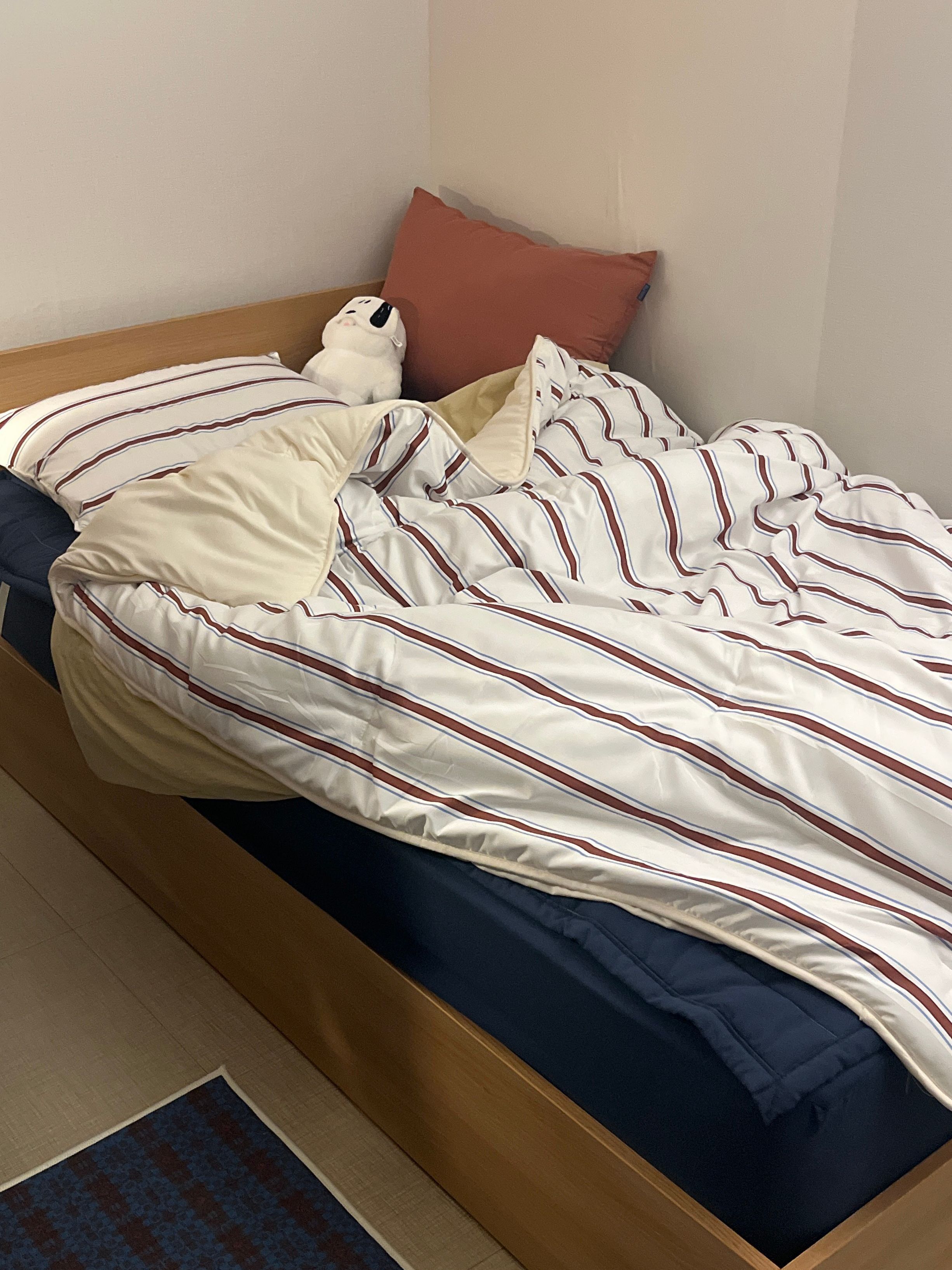 Deep Sleep Stripe All Season Comforter Set user photo