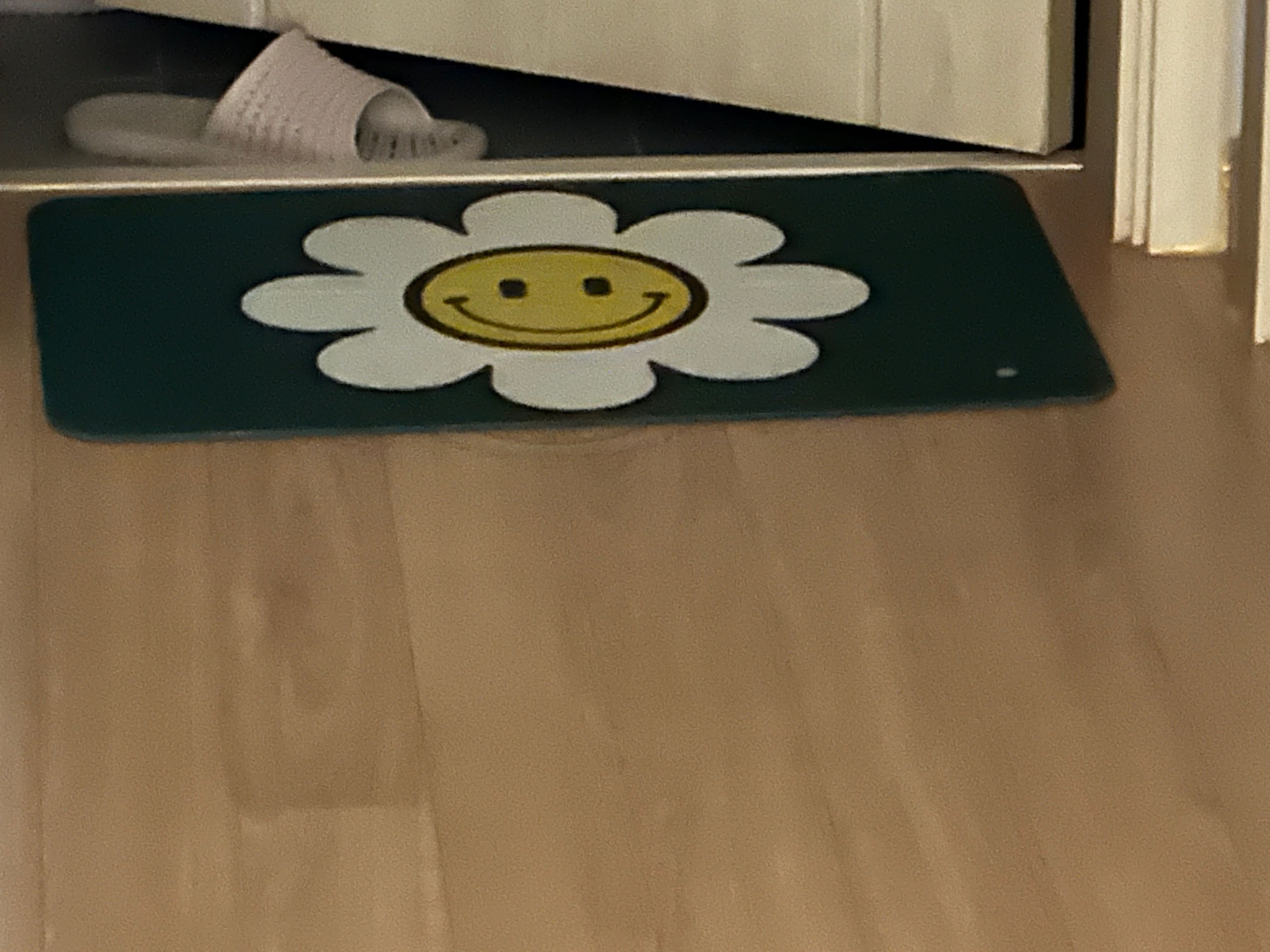 Daisy Washable Diatomite Bath Mat user photo