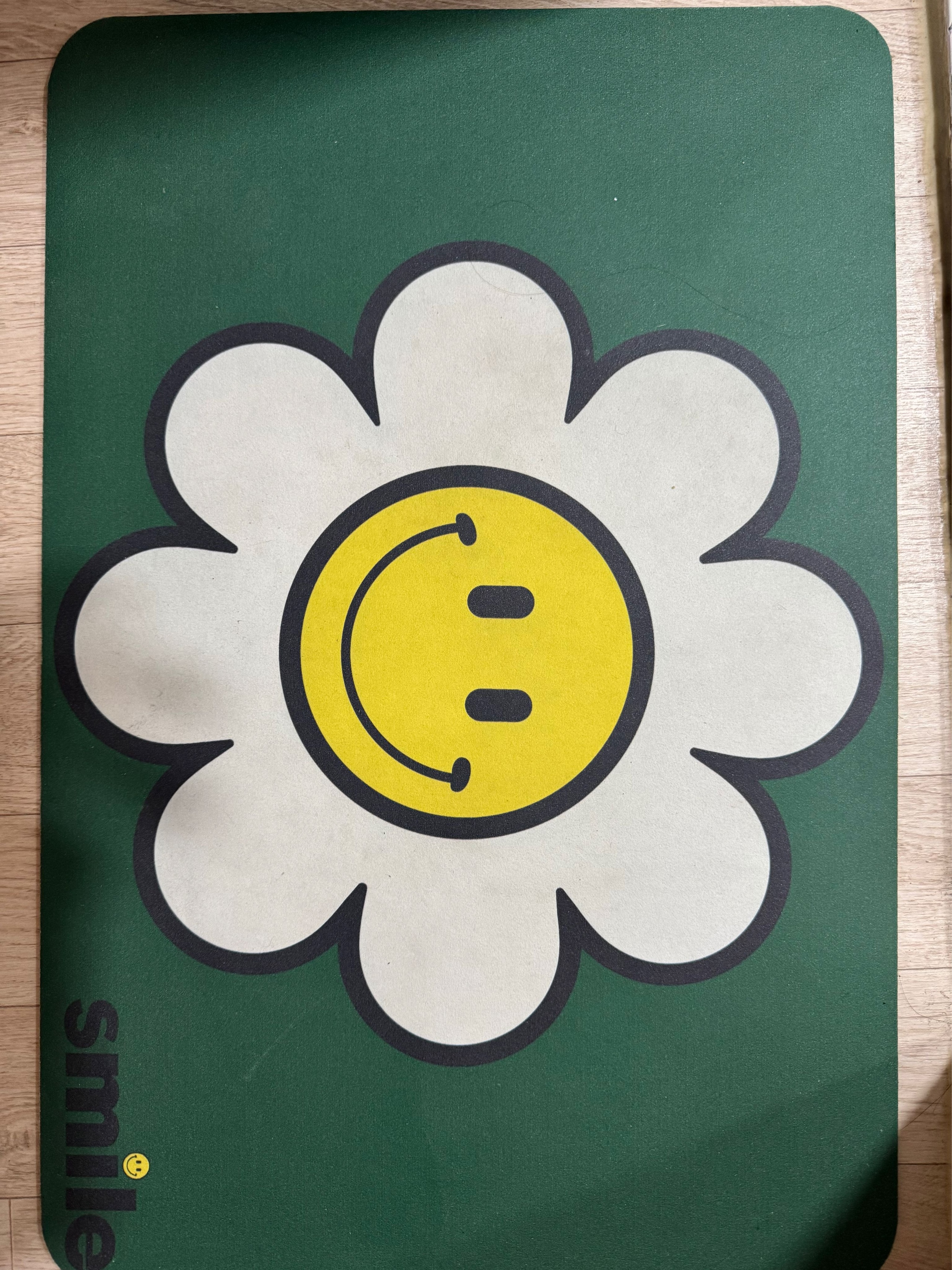 Daisy Washable Diatomite Bath Mat user photo