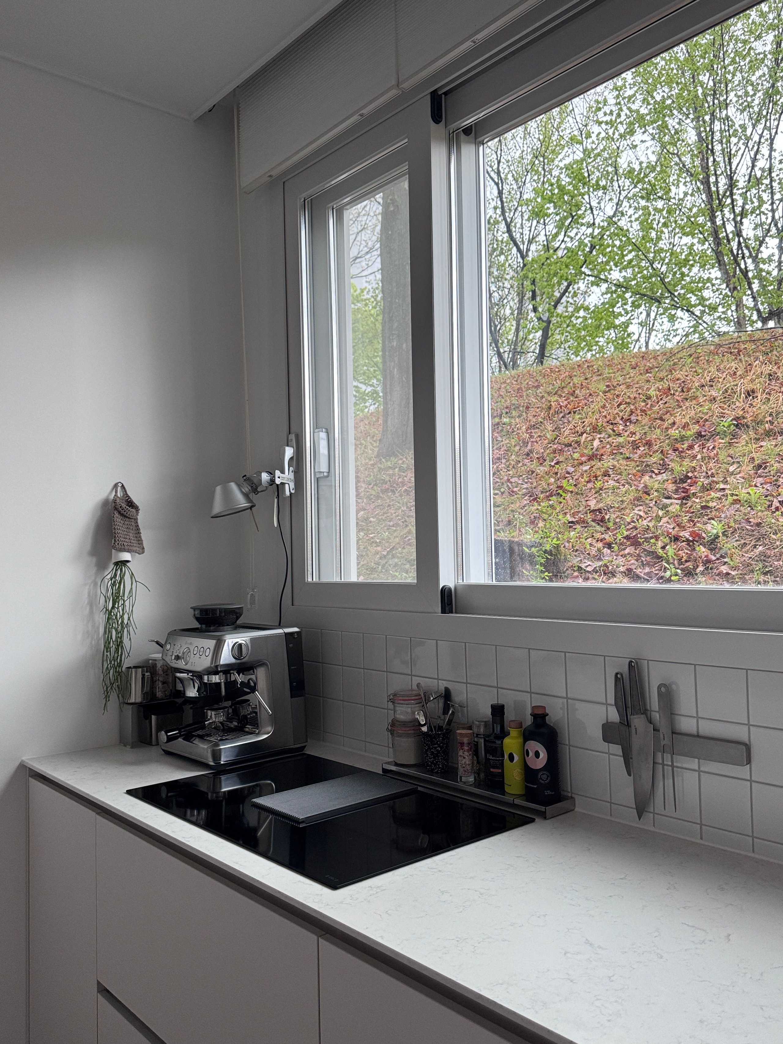 Wall Organization user photo