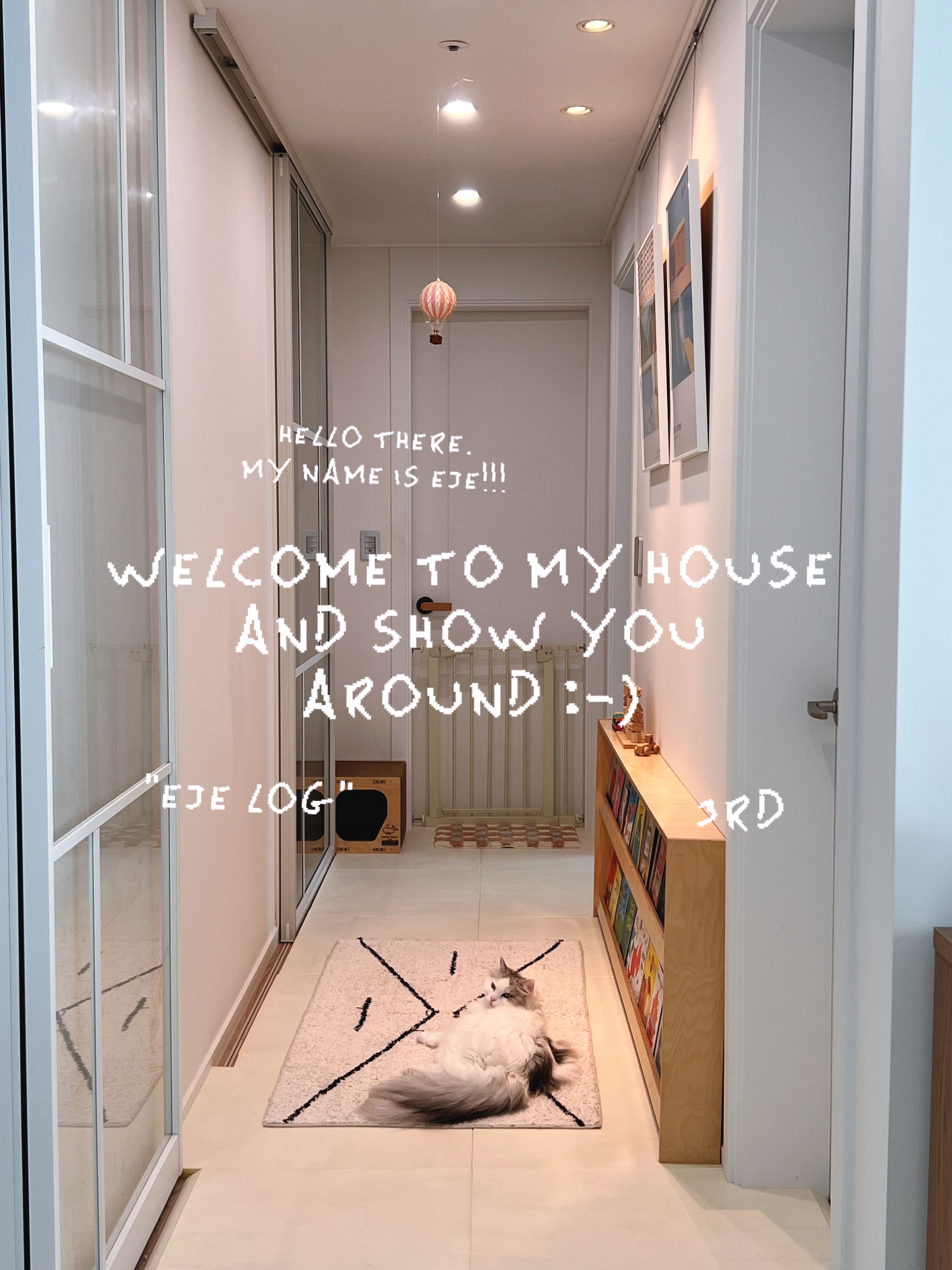 Candy Check Tufted Rug user photo