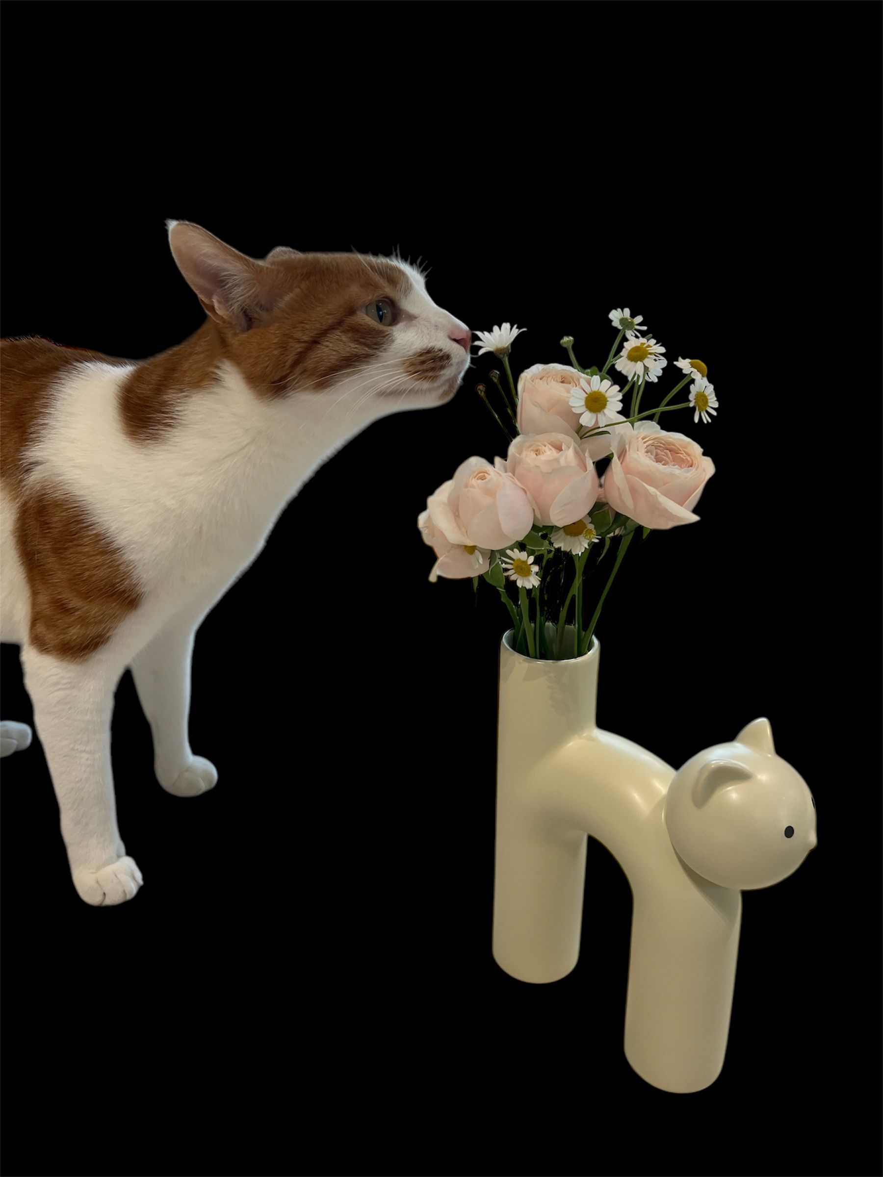 Cat Ikebana Ceramic Vase user photo