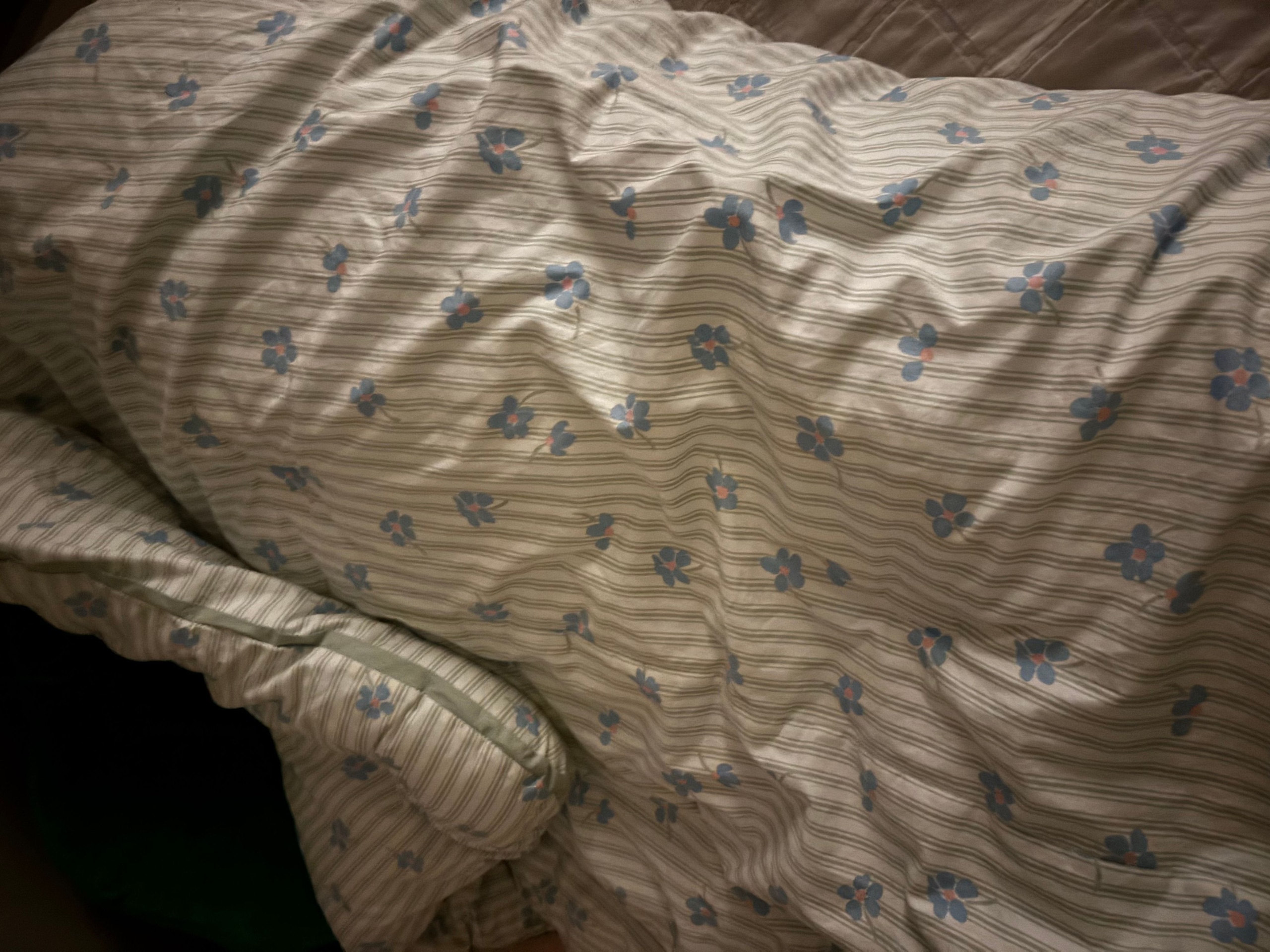 Love Binder Premium Cotton Comforter user photo