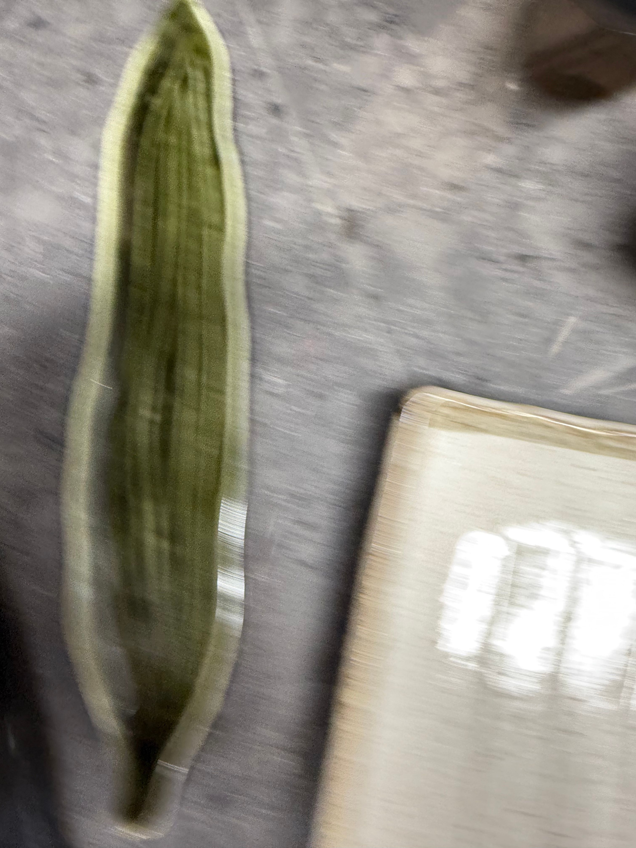 Kasanoha Long Leaf Plate user photo