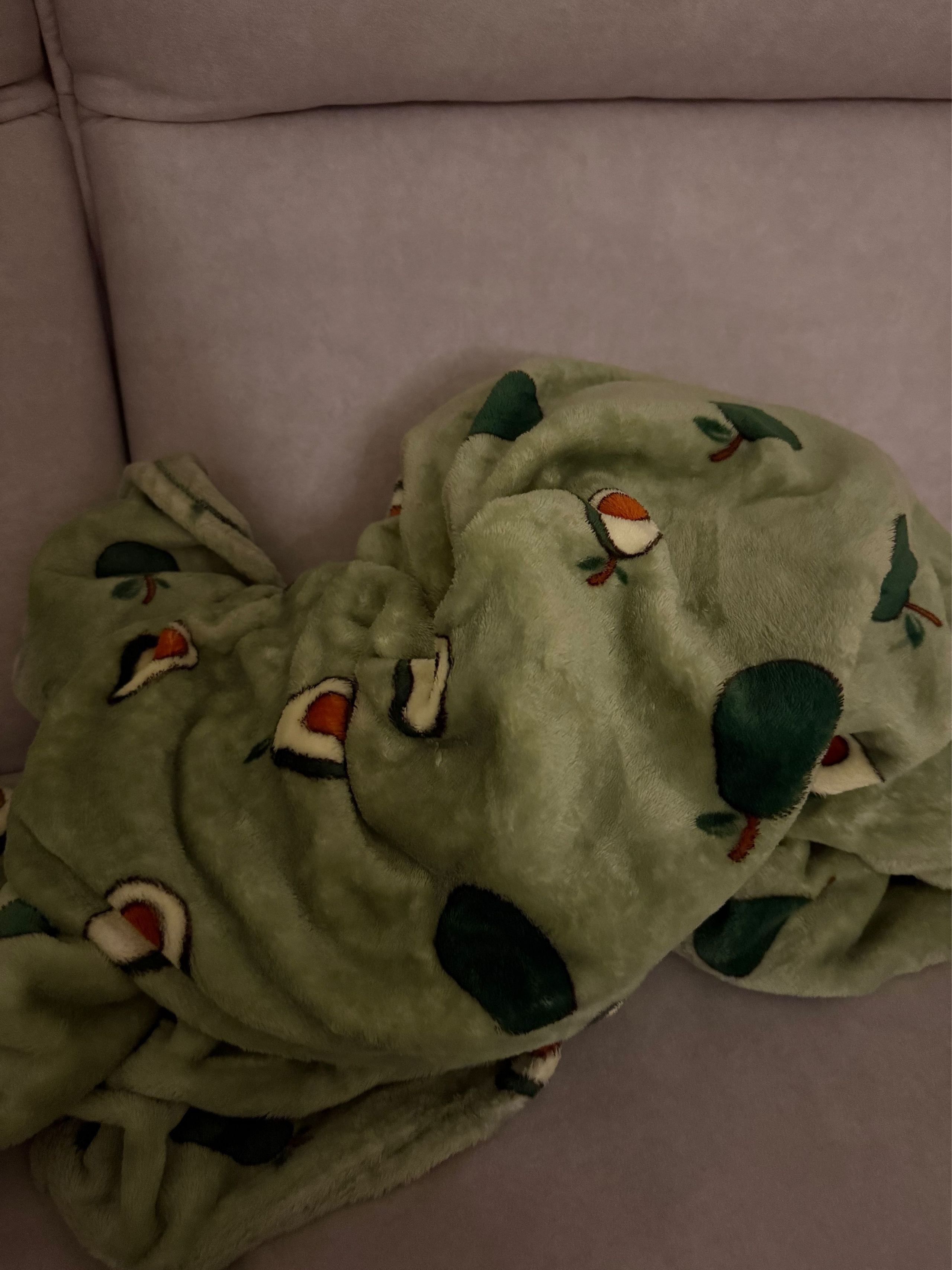 Avocado Microfiber Blanket & Comforter user photo