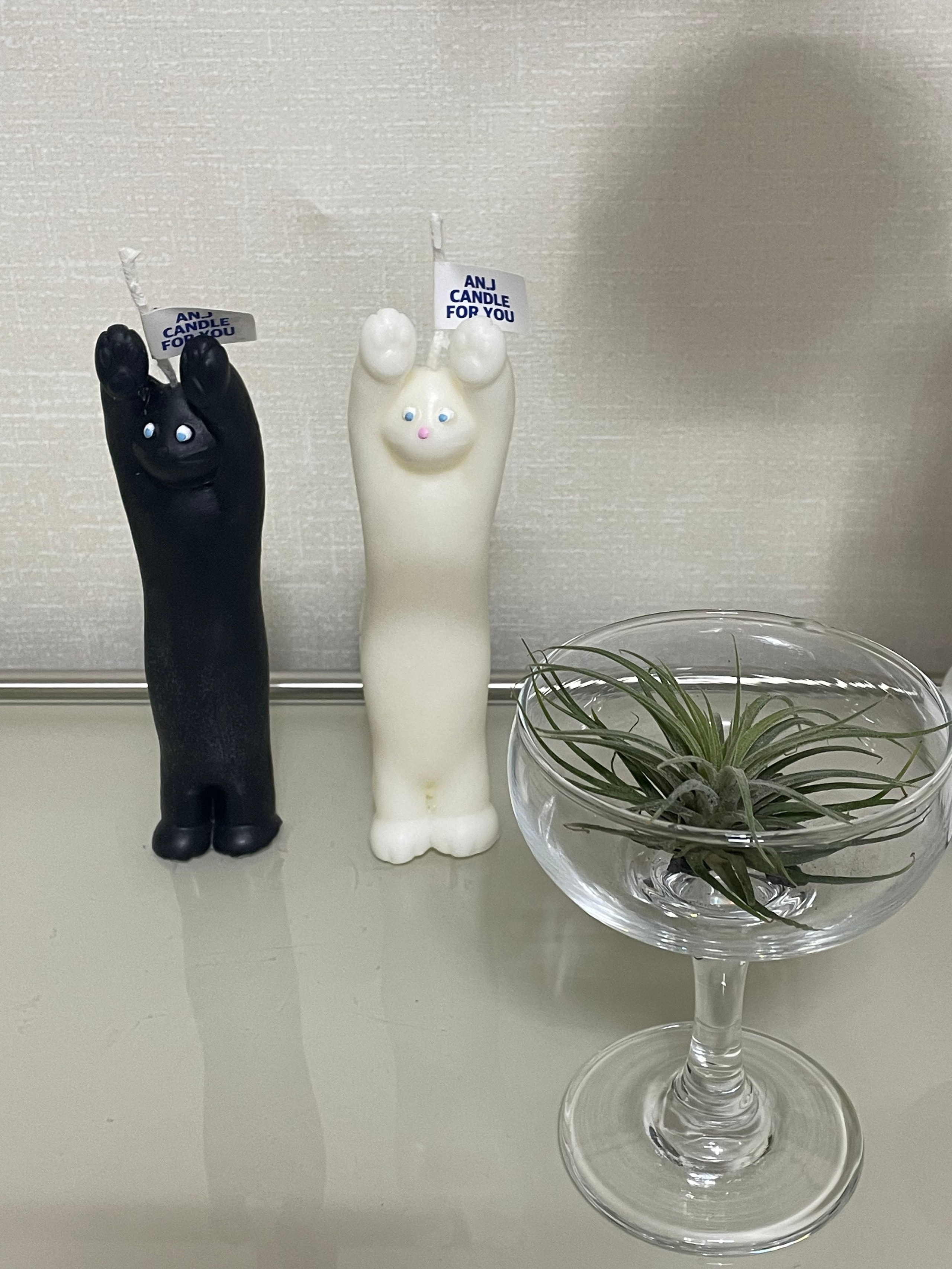Stretchy Cat Object Candle user photo