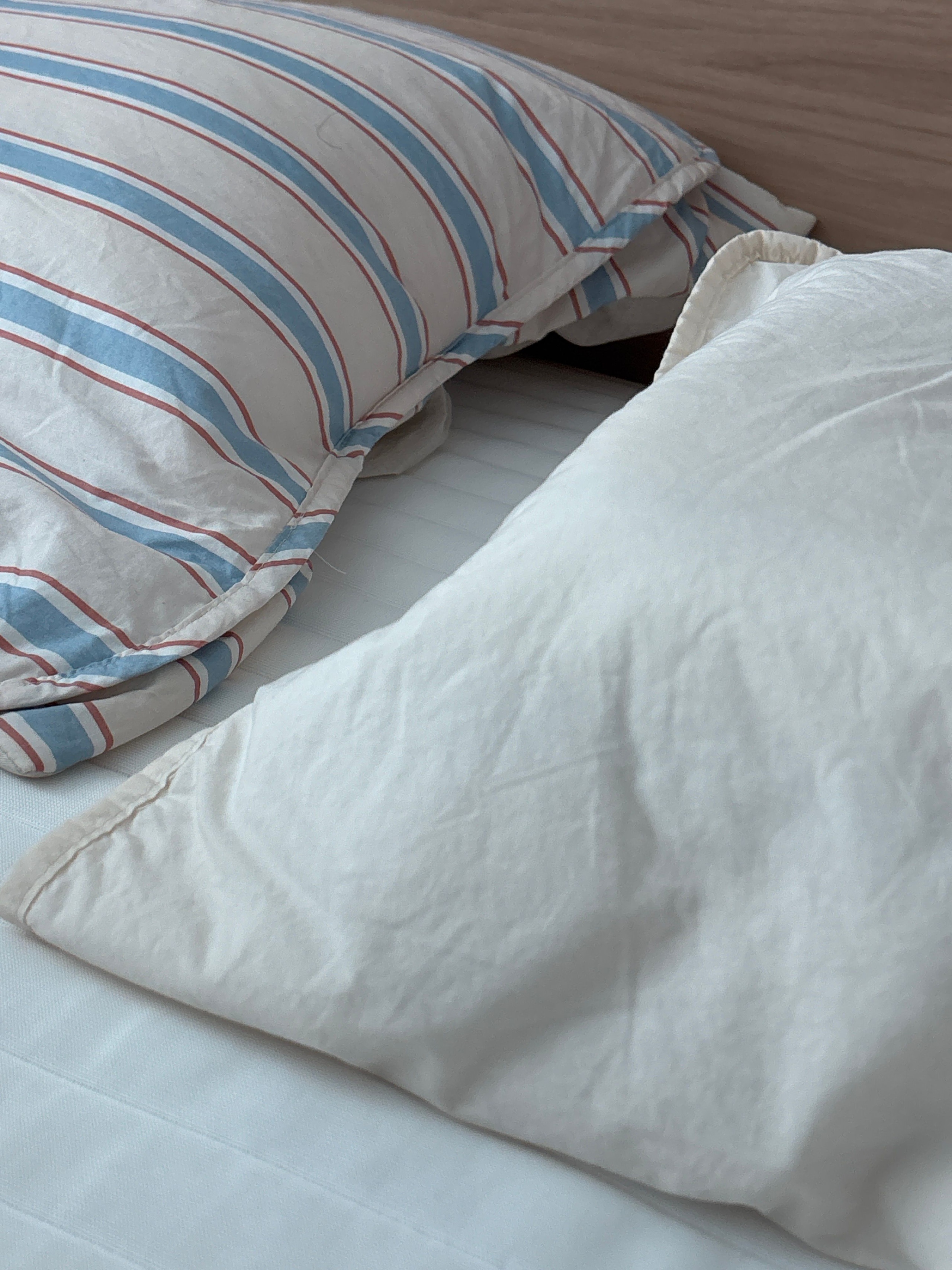 Vintage Mansion Cotton Fitted Pillowcase Set (2-Pack) user photo