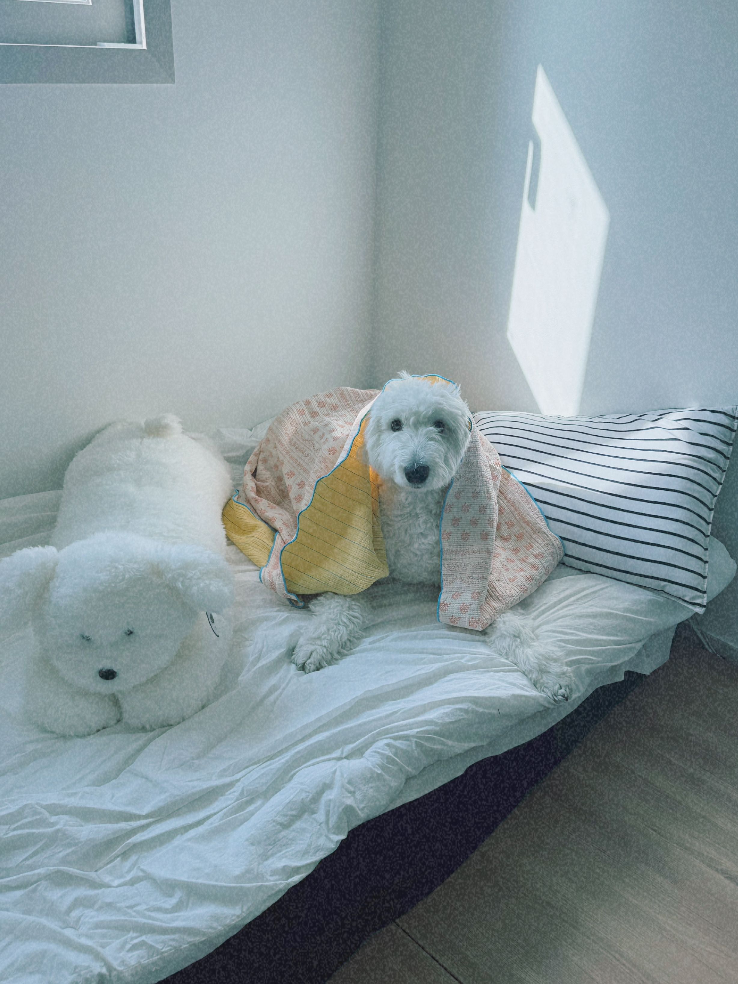 Muli Ethnic Gauze Blanket user photo