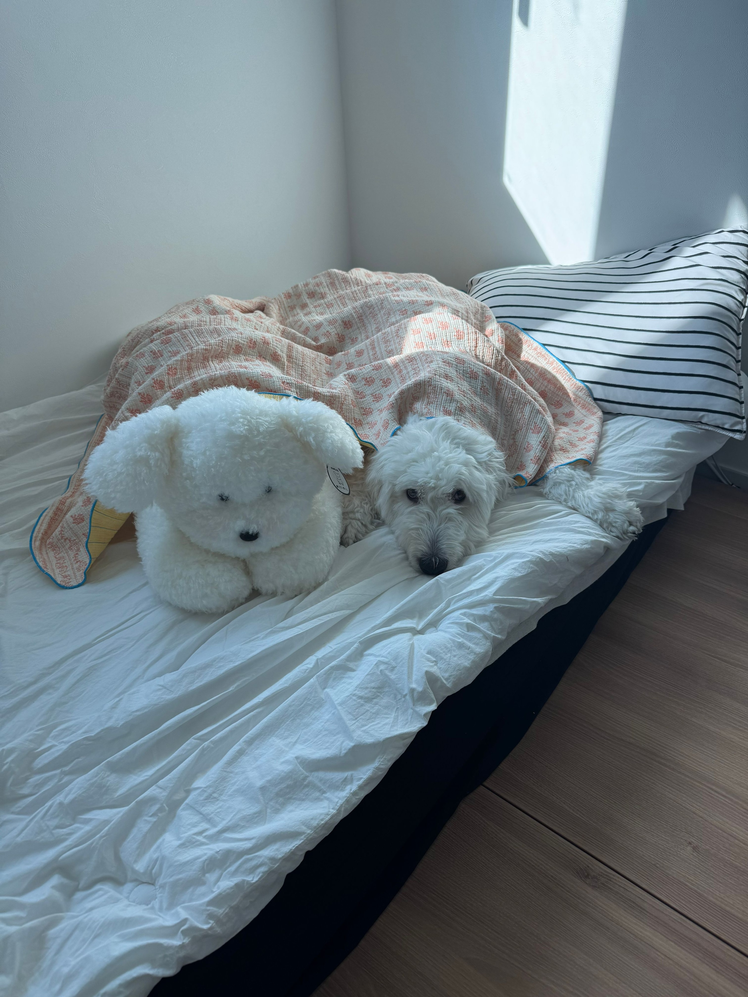 Muli Ethnic Gauze Blanket user photo
