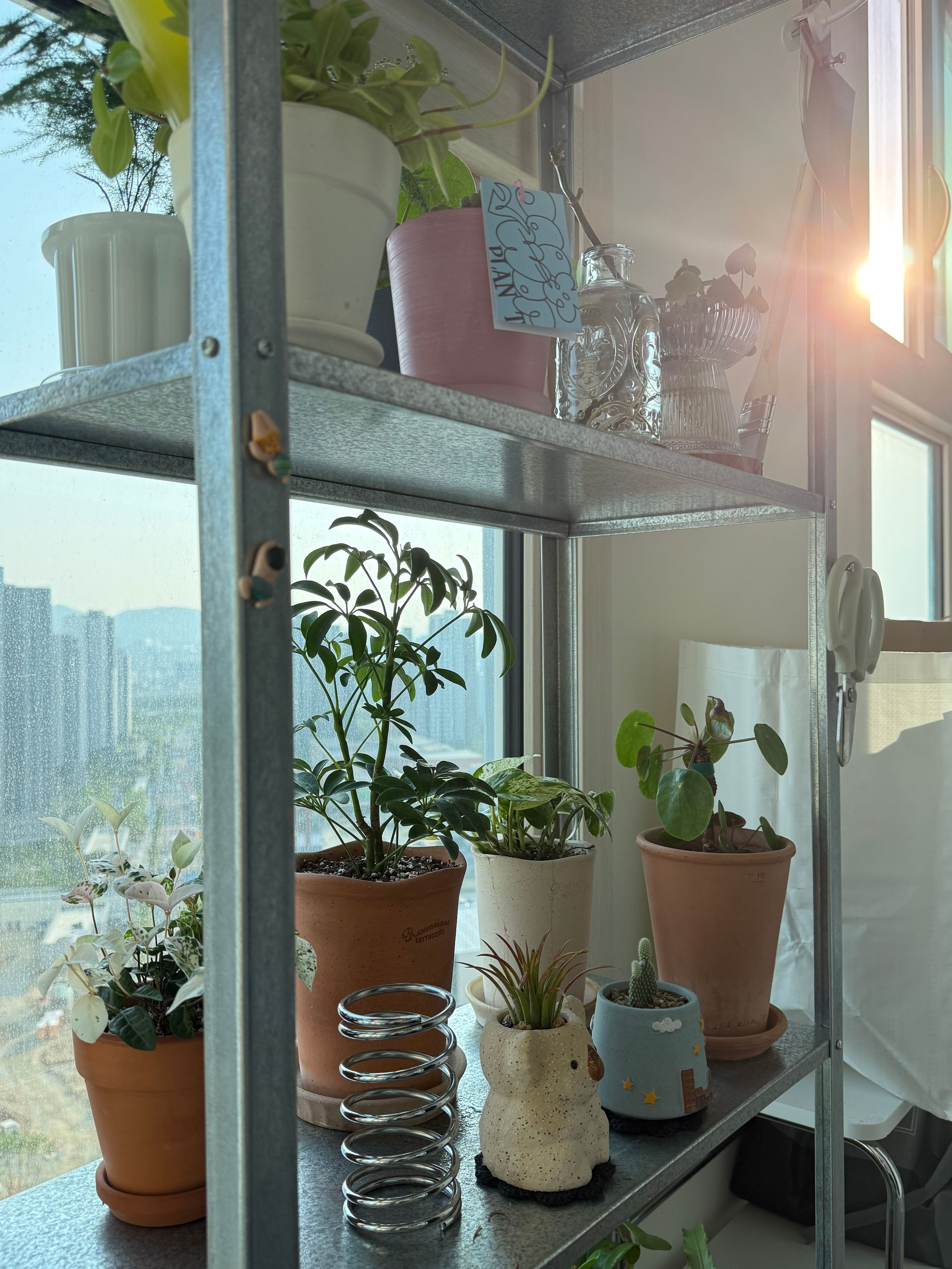 Mid-Century Wood & Chrome Shelf user photo