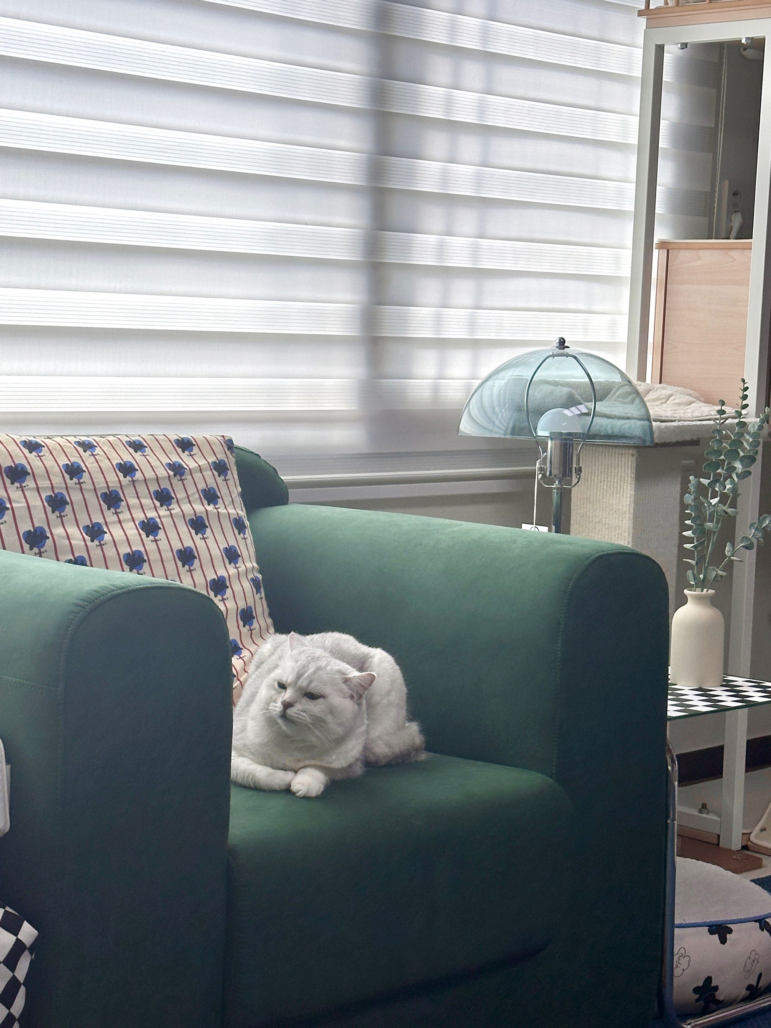 Point Canoe Chrome Mid-Century Coffee Table user photo
