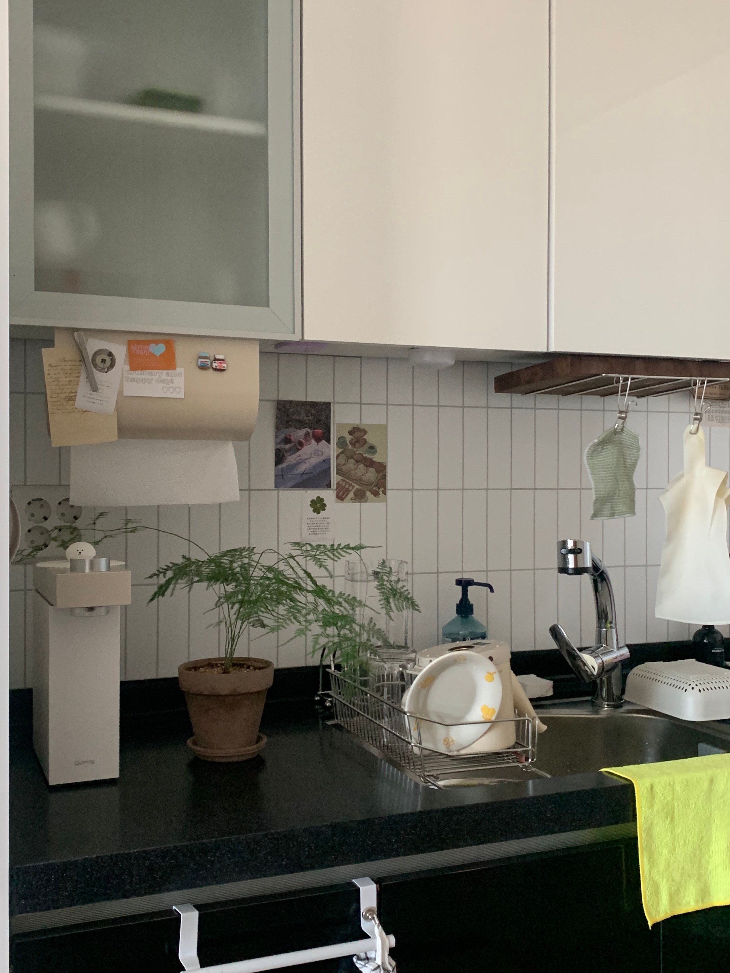 Dual Fit Sink Dish Rack user photo