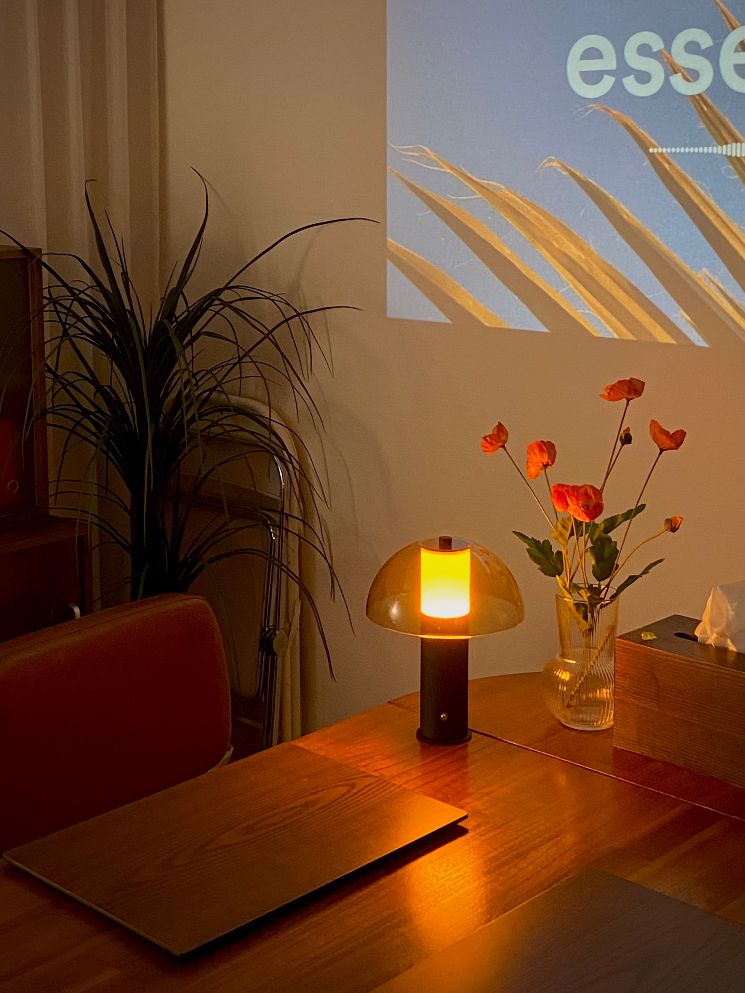Nito Table Lamp user photo