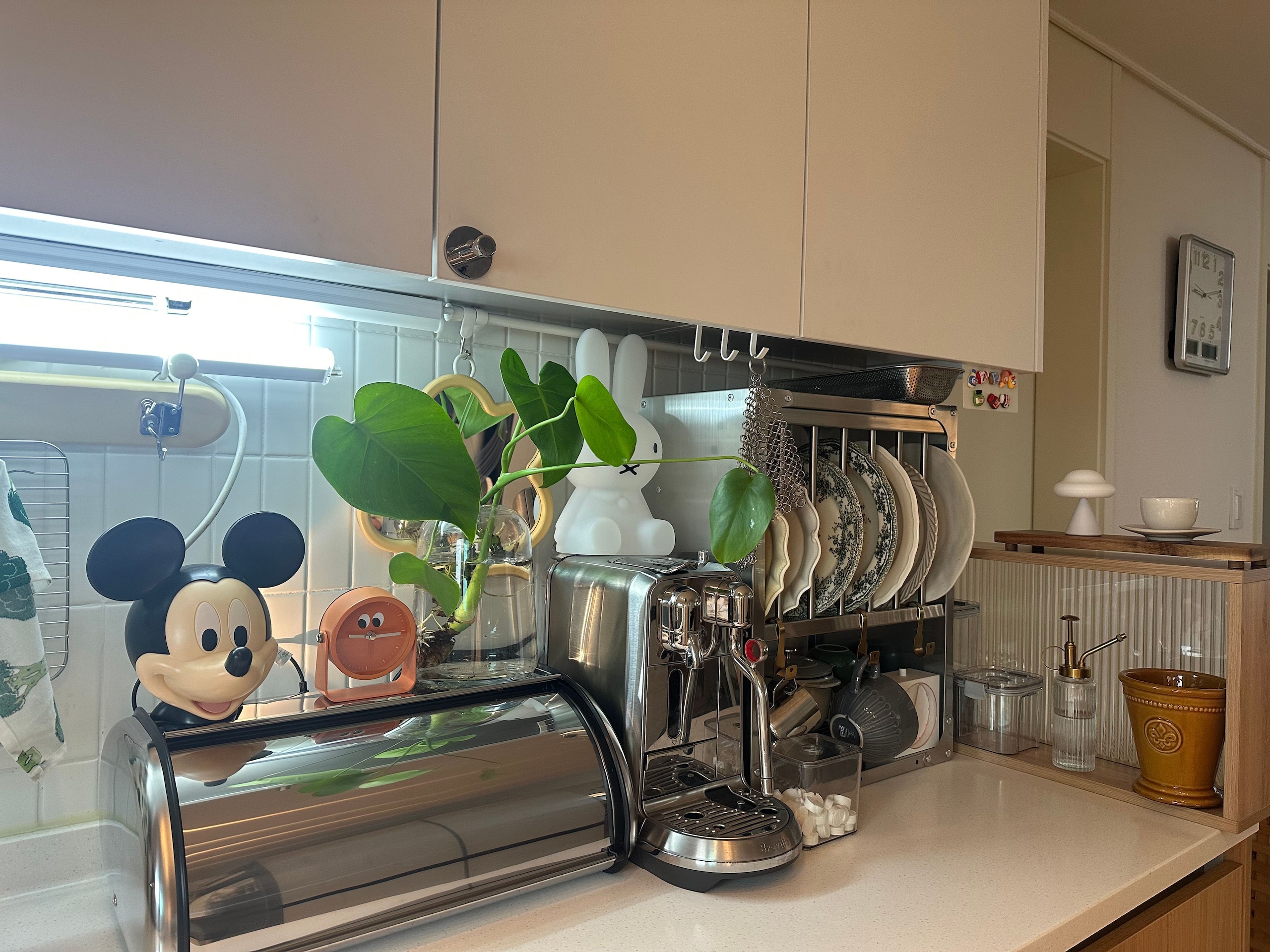 Roll-Up Stainless Steel Bread Box user photo