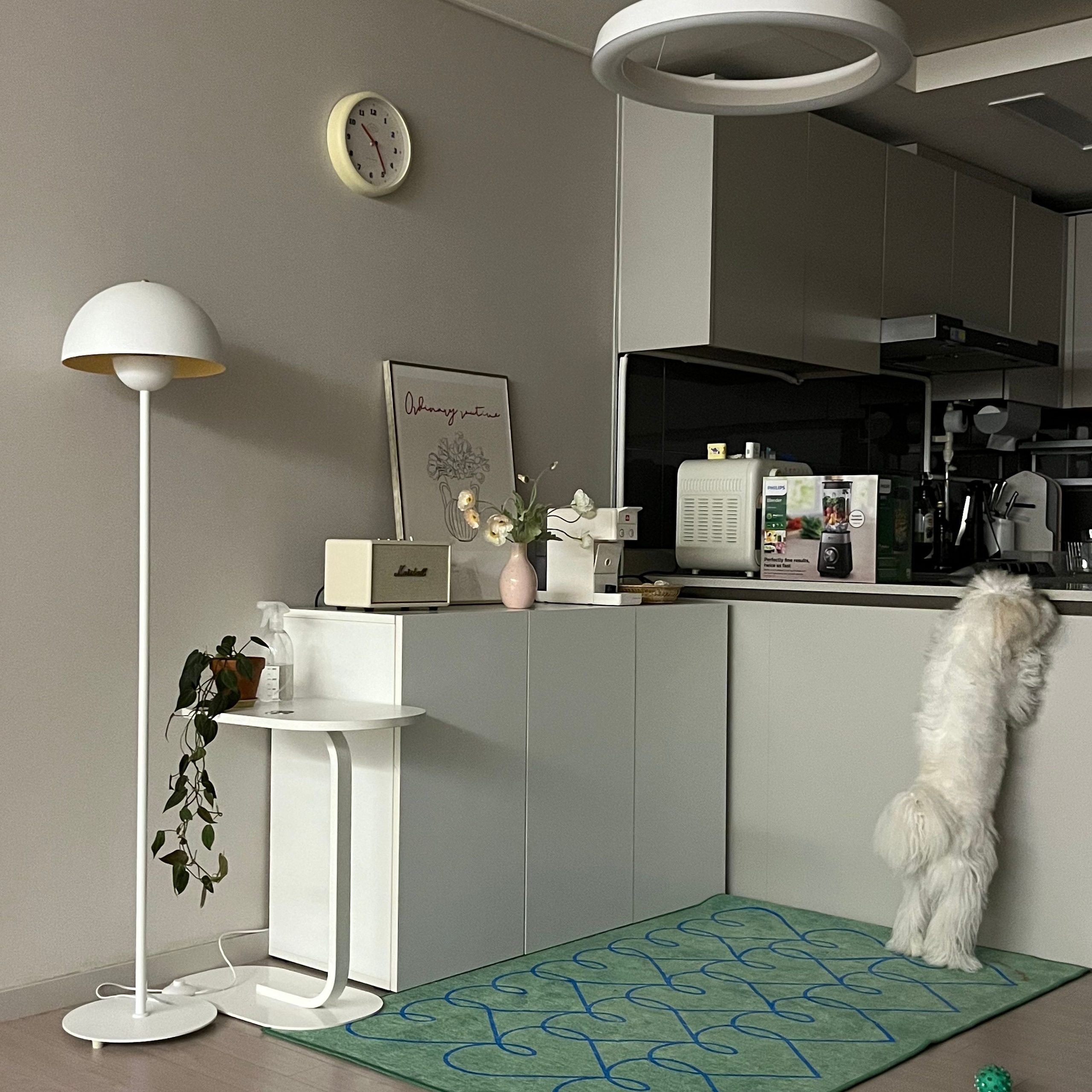 BWTZ Easy-Care Dust-Free Washable Area Rug user photo
