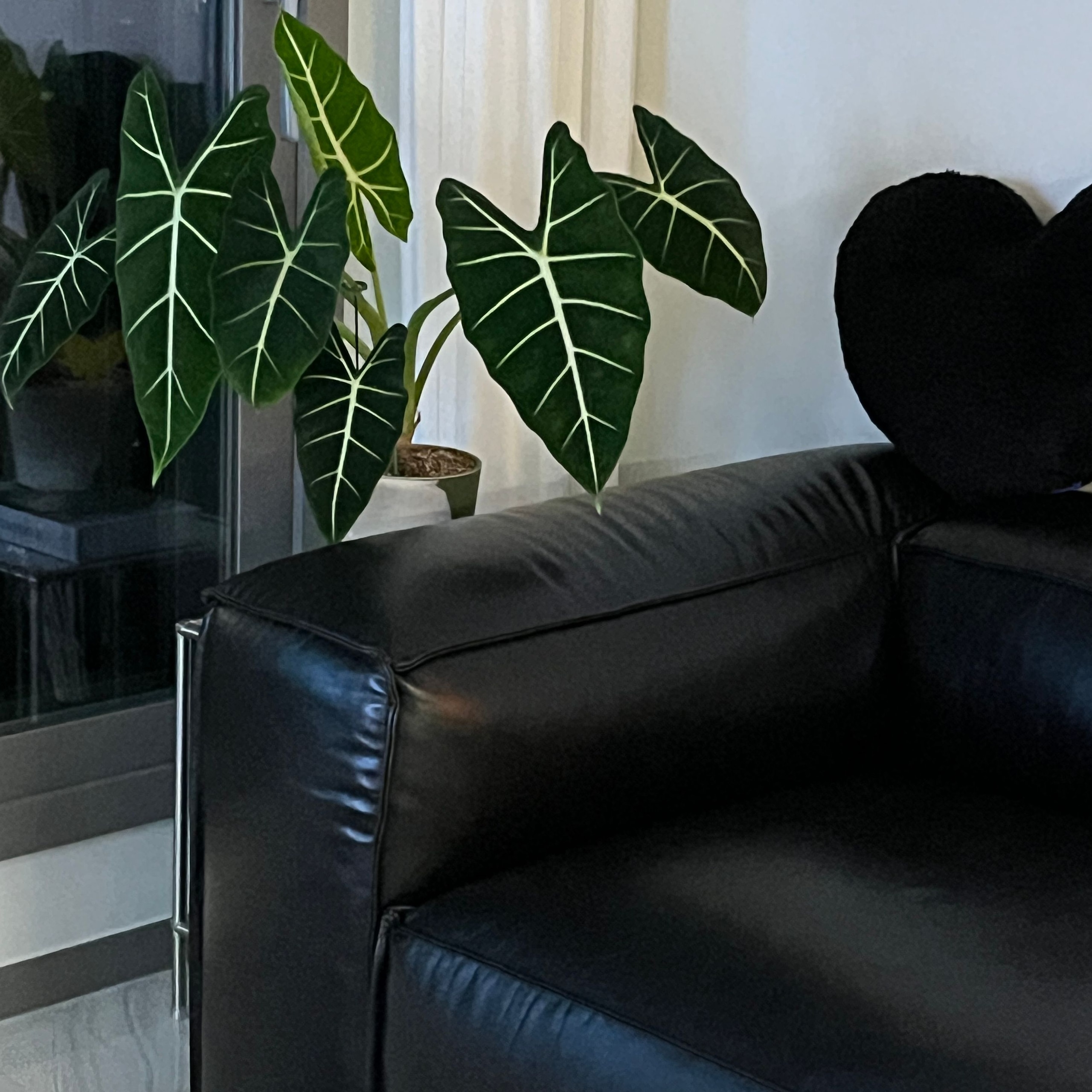 Plush Heart Cushion user photo
