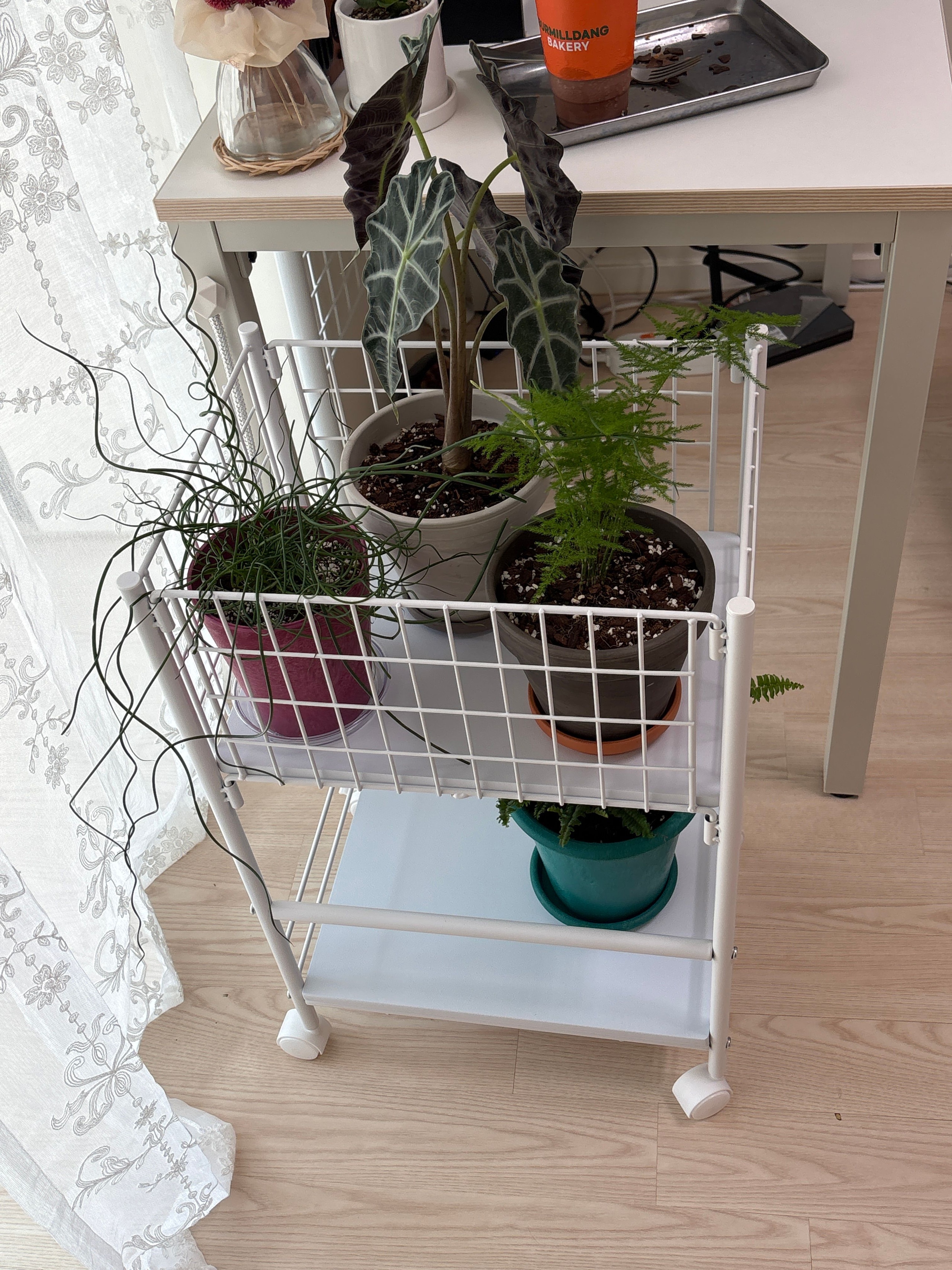 Haze Storage Trolley Laundry Basket user photo