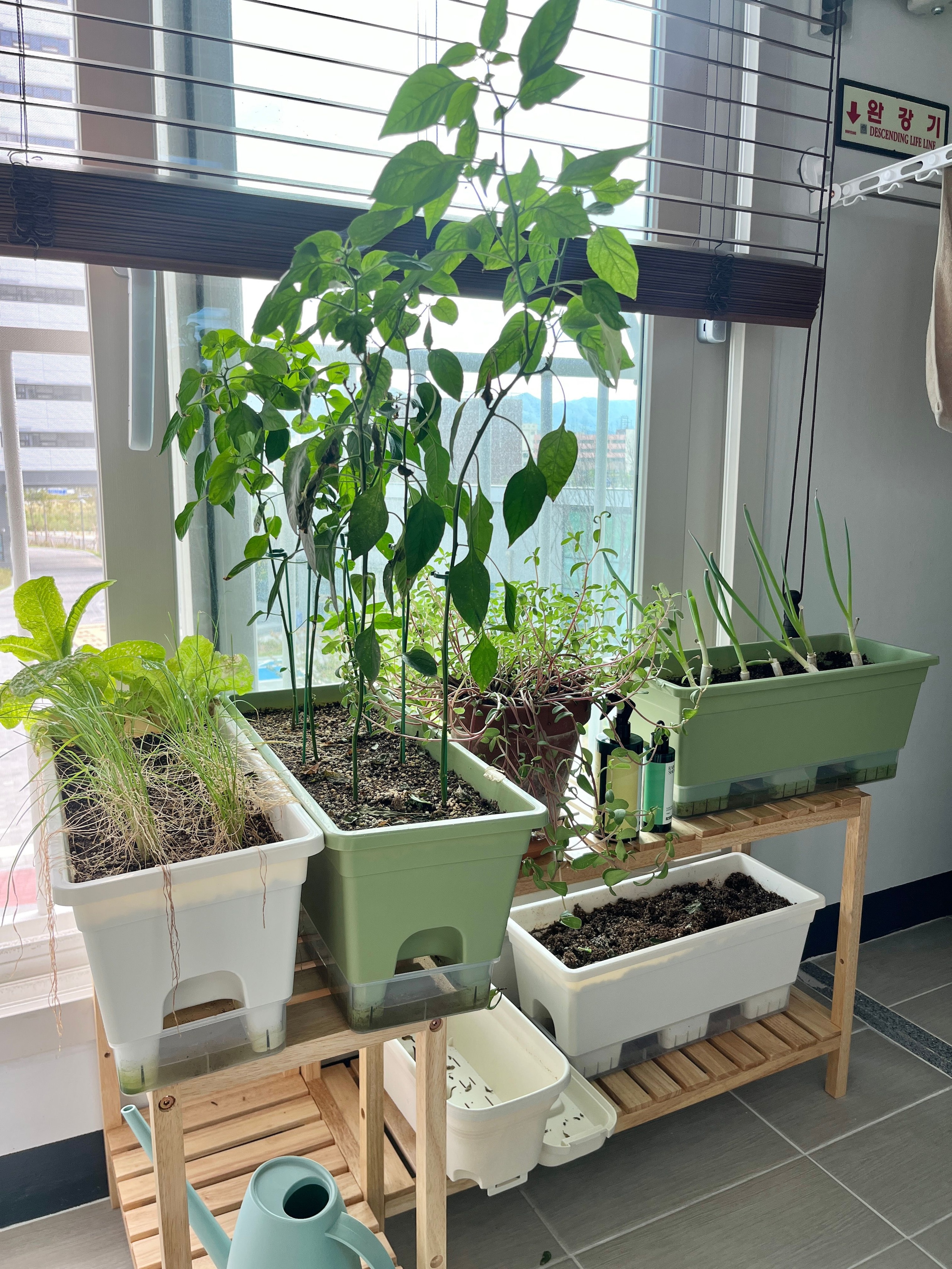Solid Wood Plant Stand user photo