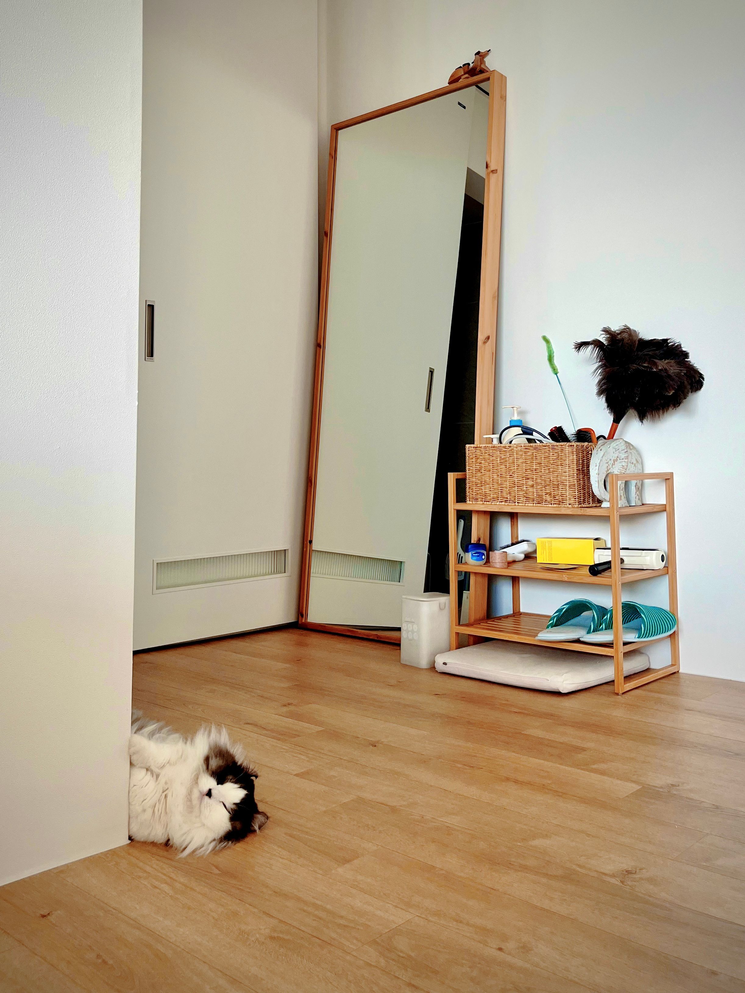 BWTZ Terry Stripe Indoor Slippers user photo