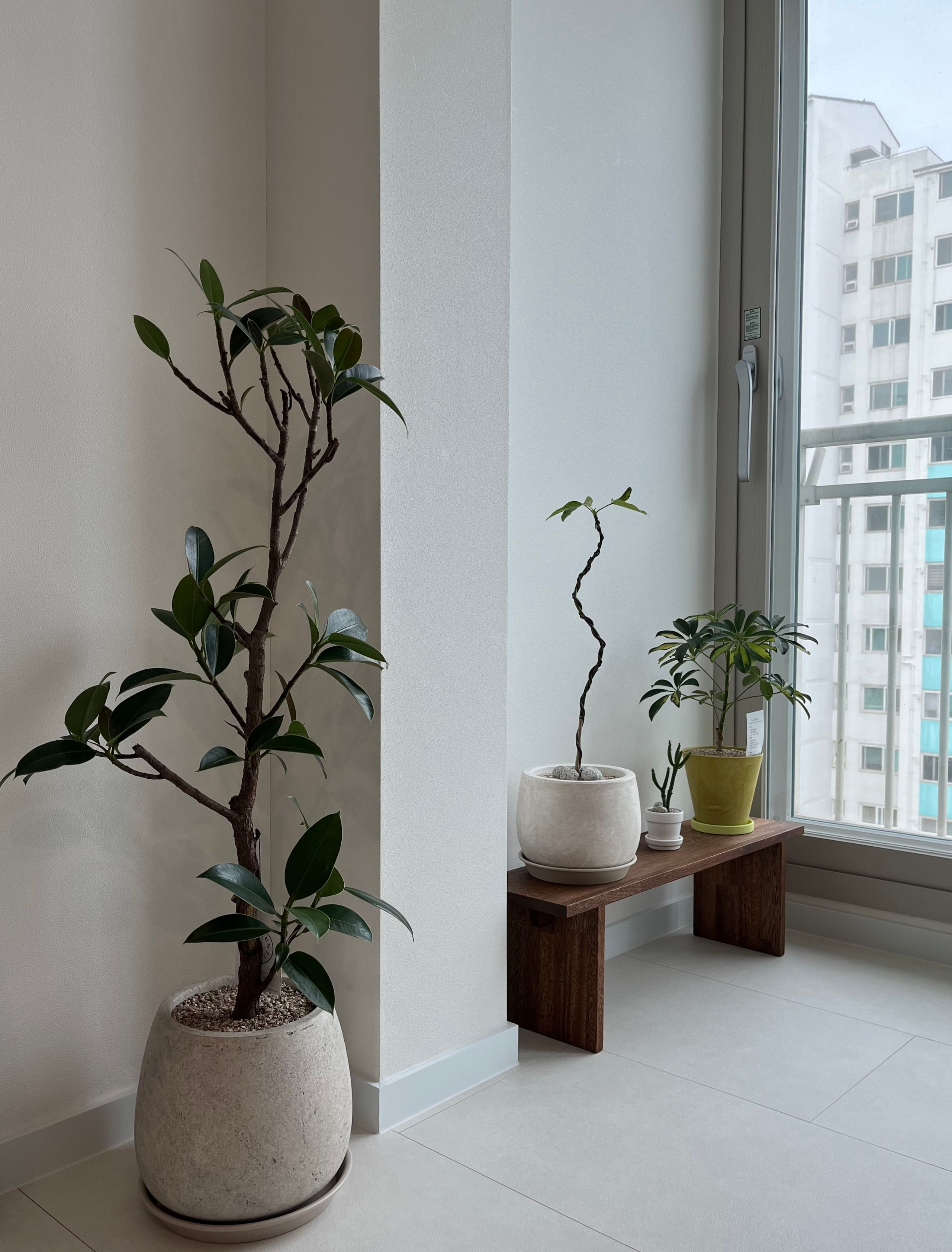 Wooden Plant Shelf user photo
