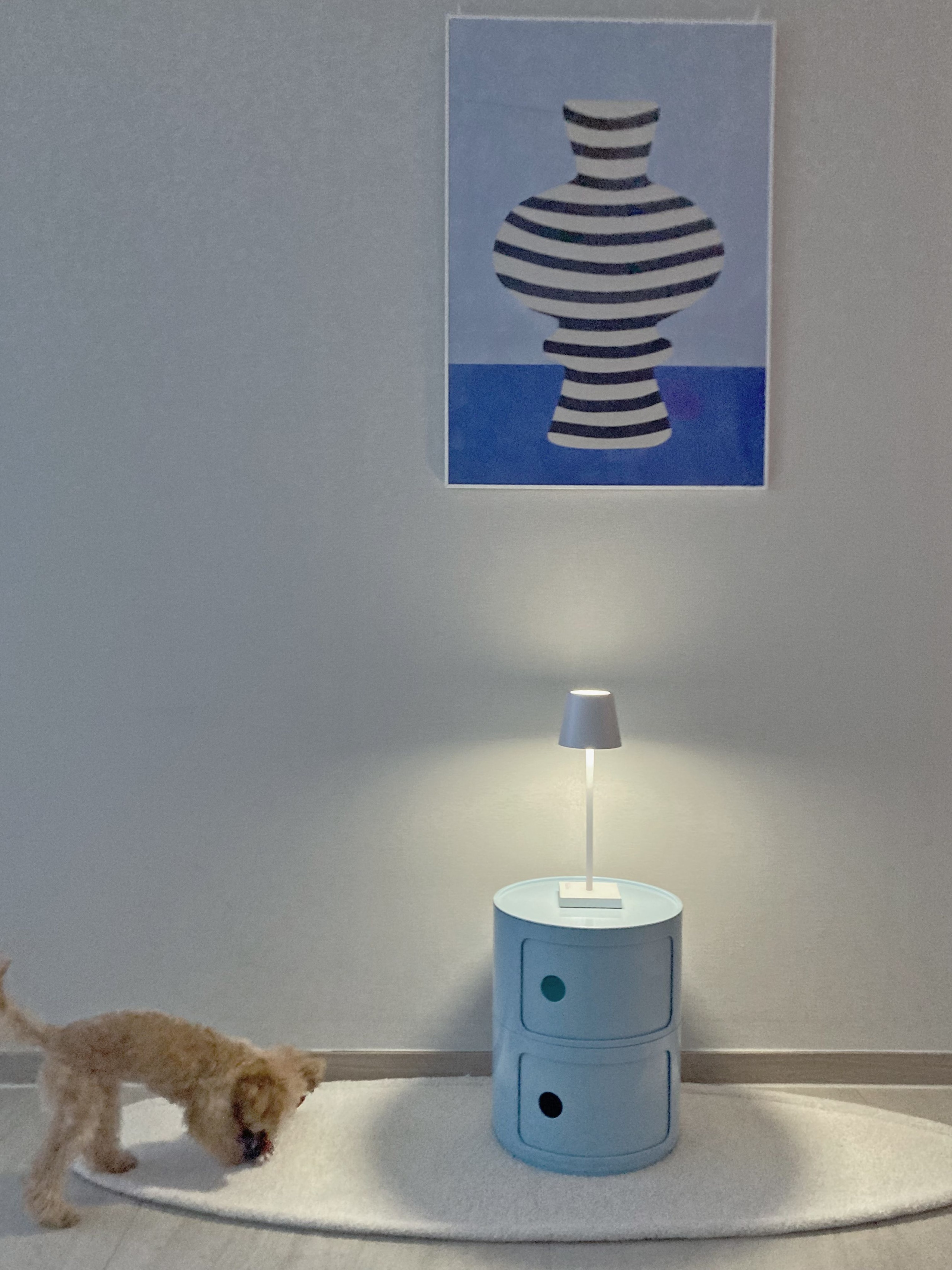 White LED Rechargeable Table Lamp user photo