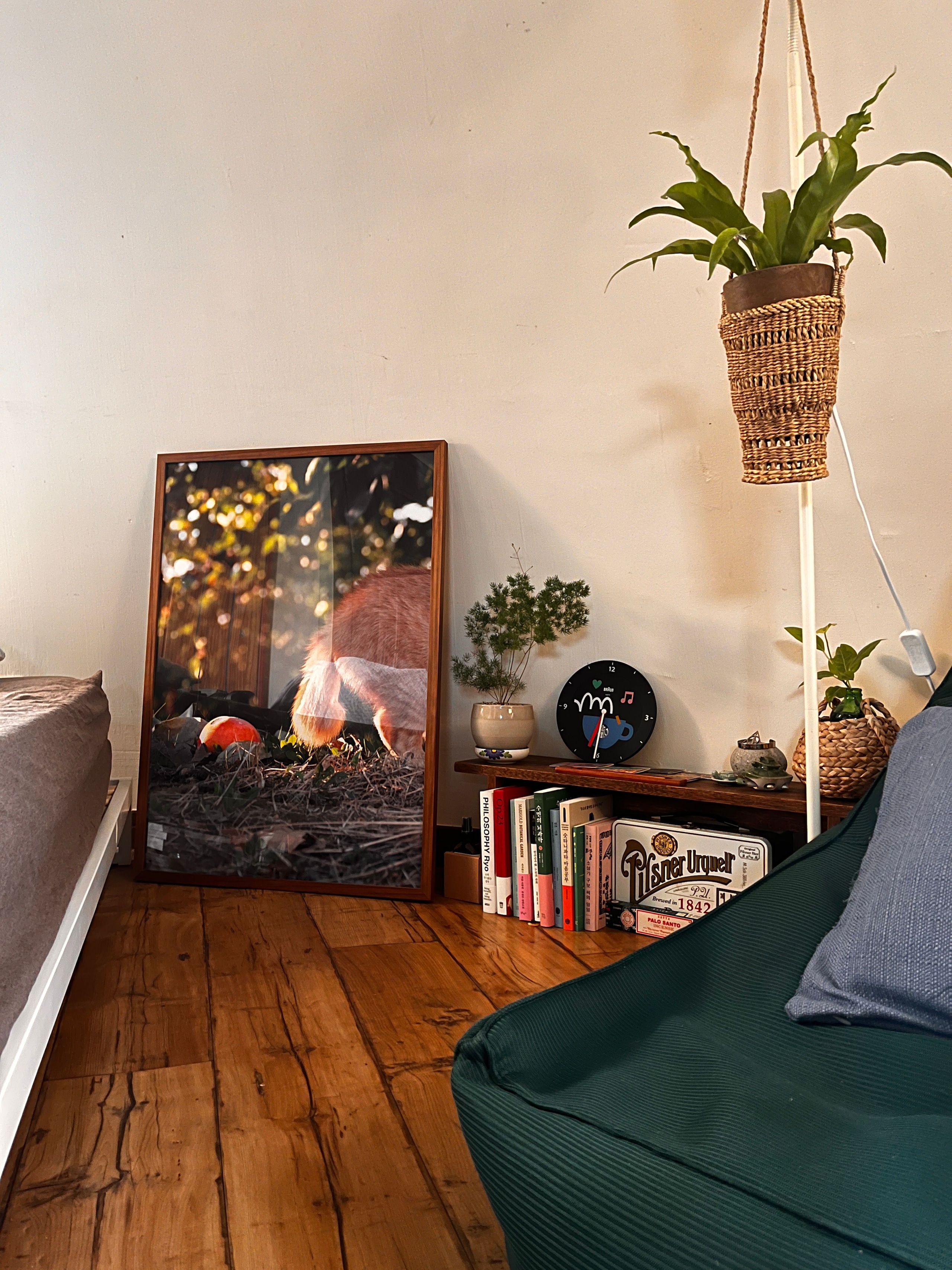 Wooden Plant Shelf user photo
