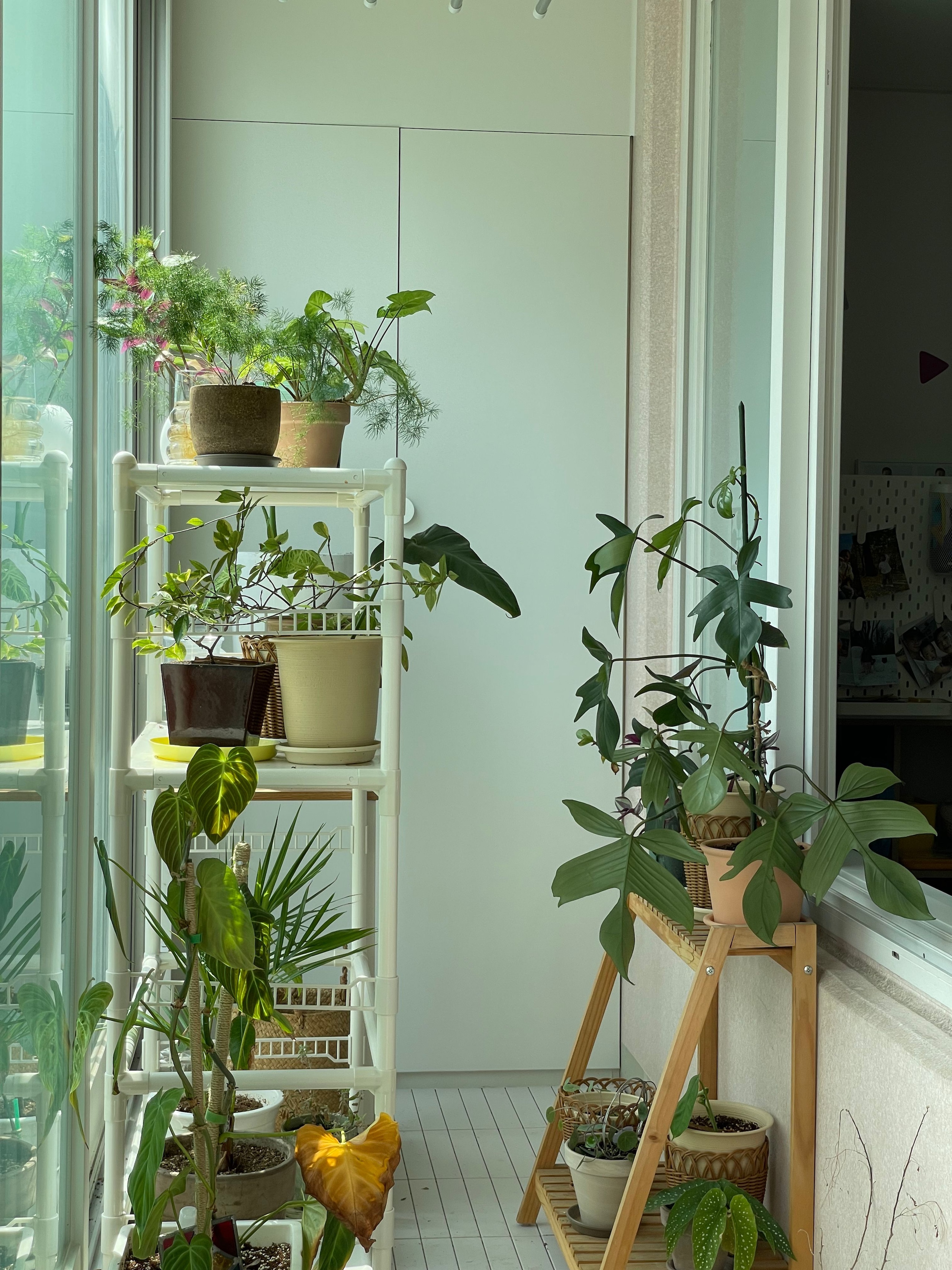 The Rolling Pantry Rack user photo