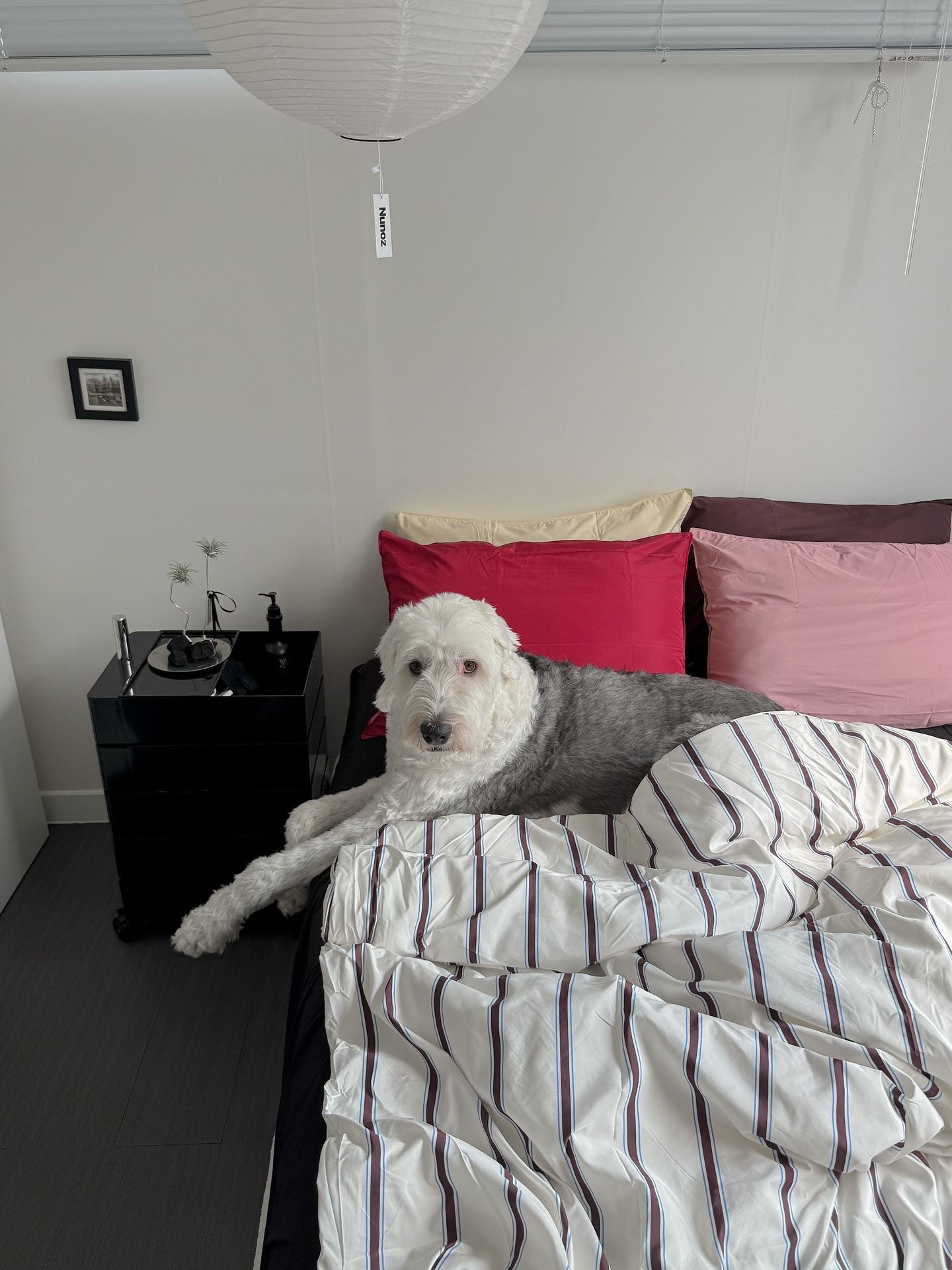Soft Sleep Microfiber Mattress Fitted Sheet user photo