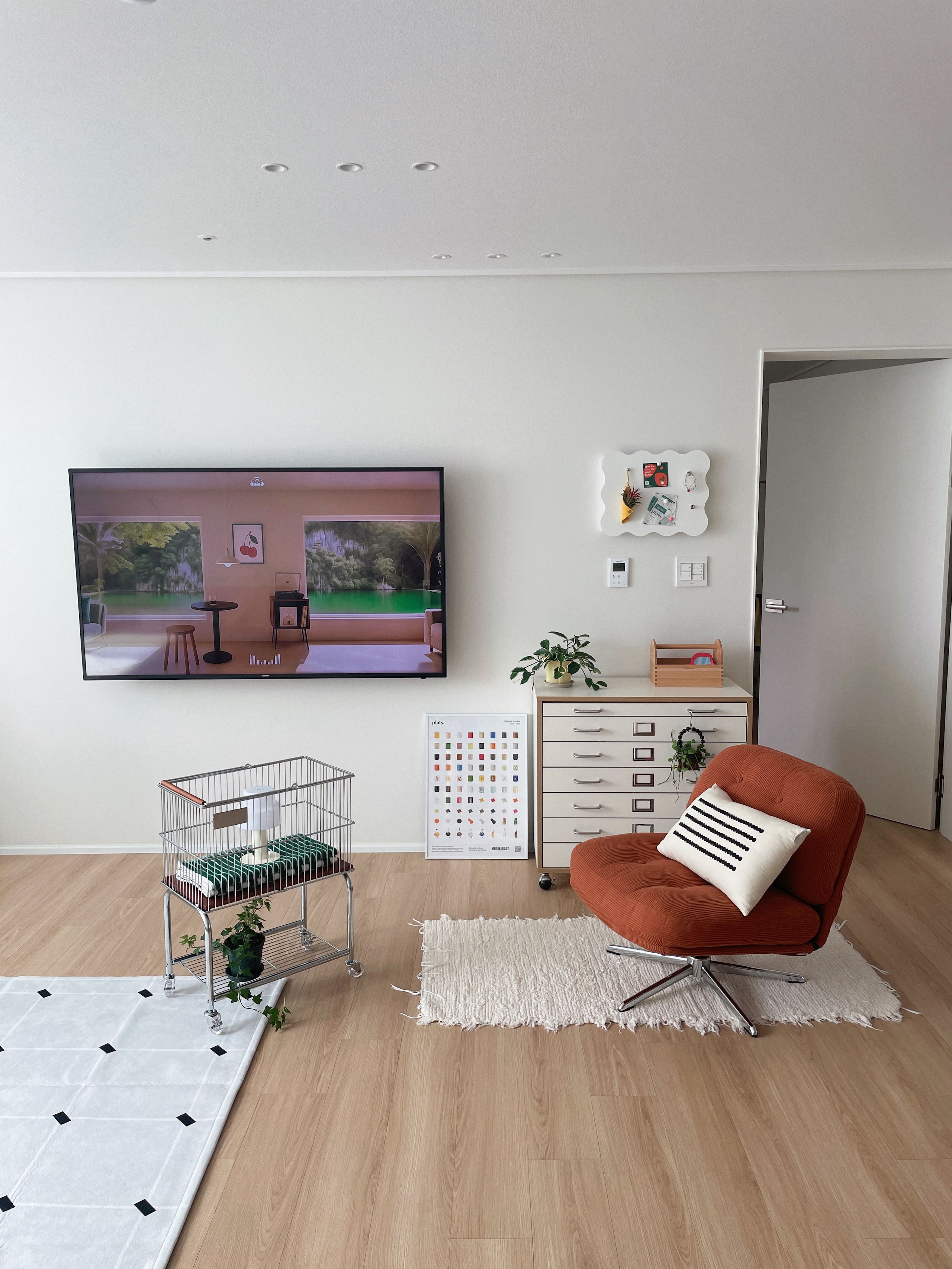 Microfiber Graphic Rug user photo