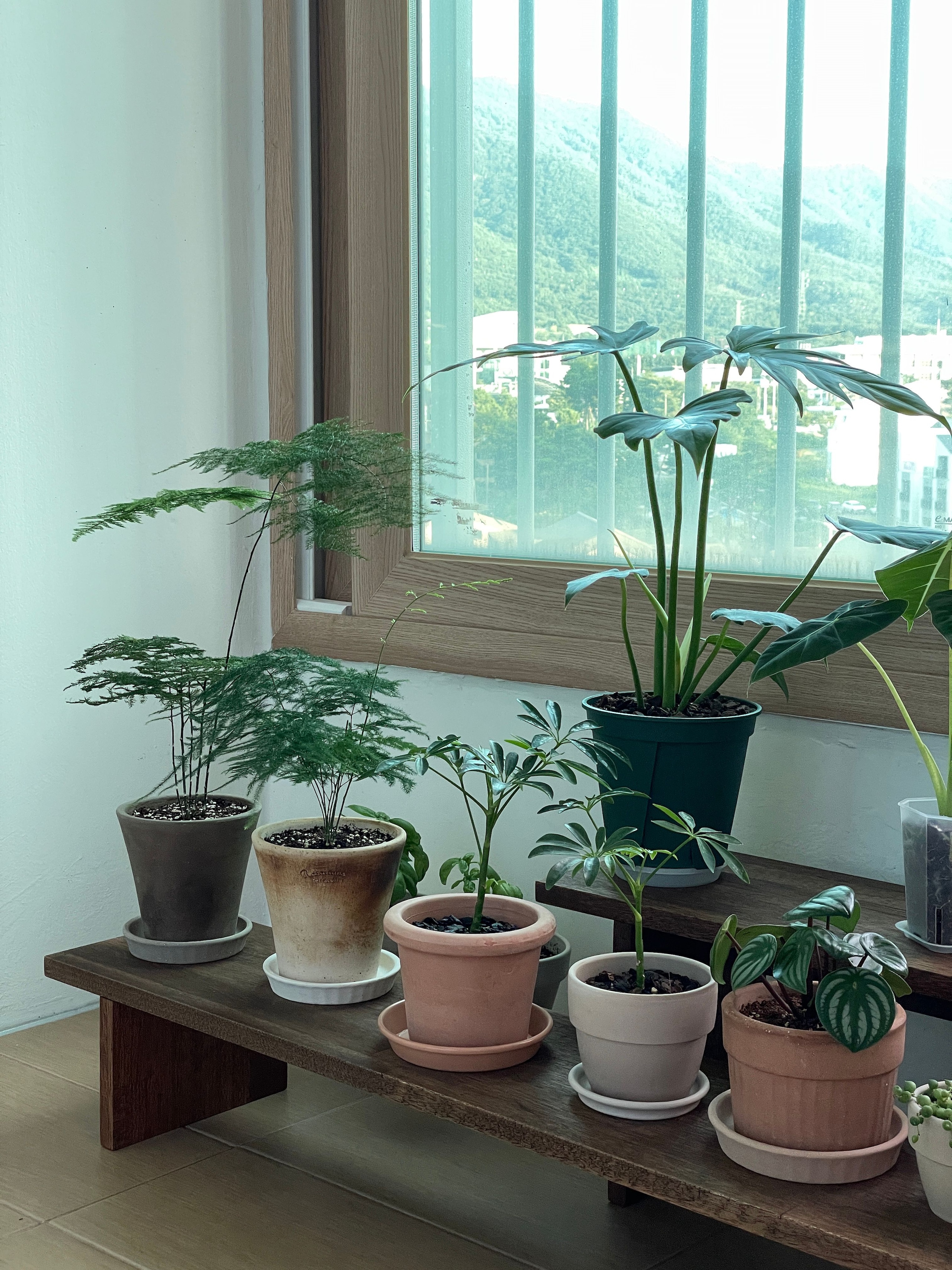 Wooden Plant Shelf user photo