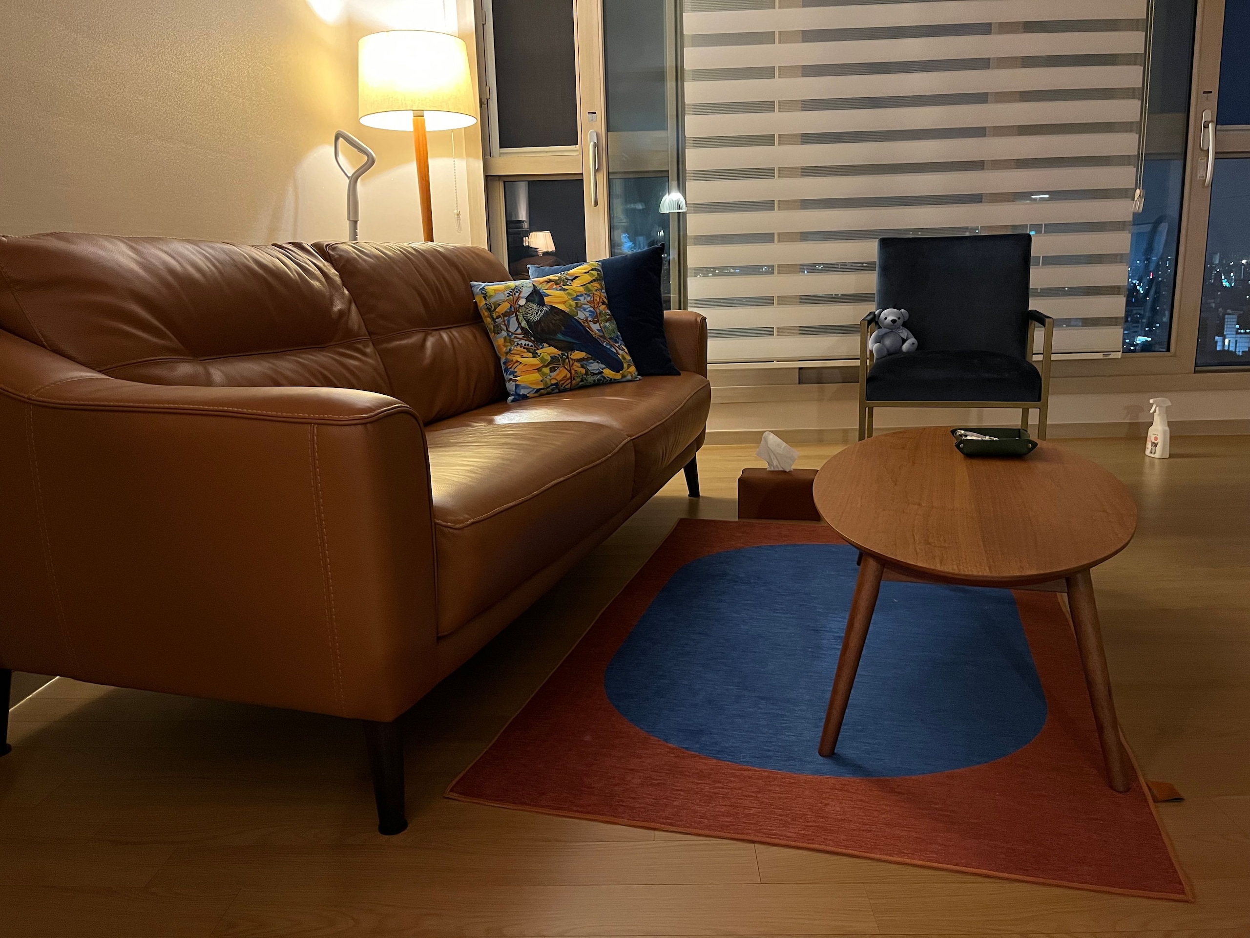BWTZ Easy-Care Dust-Free Washable Area Rug user photo
