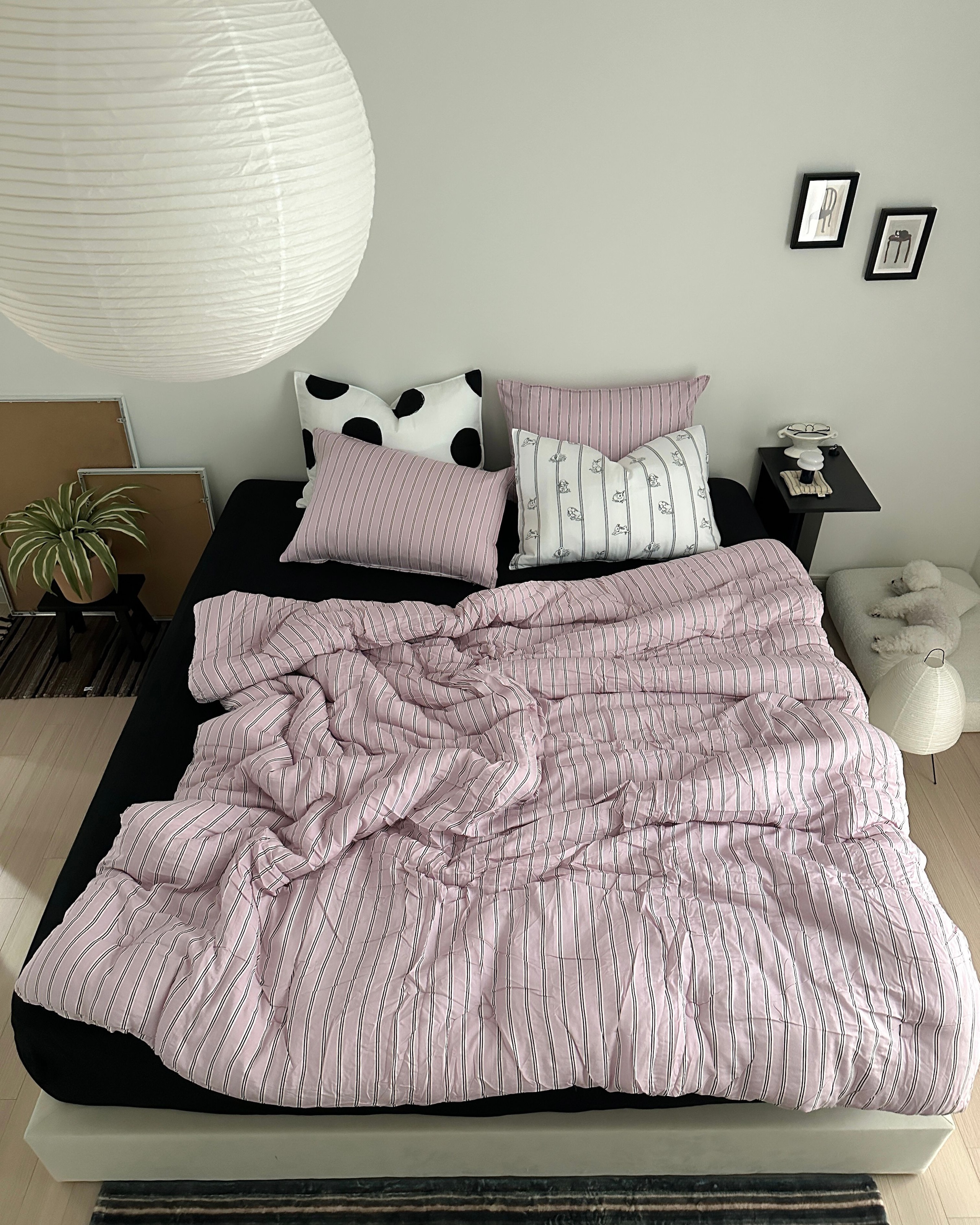 Soft Stripe Comforter & Pillow Set (Eco Corn Fill) user photo