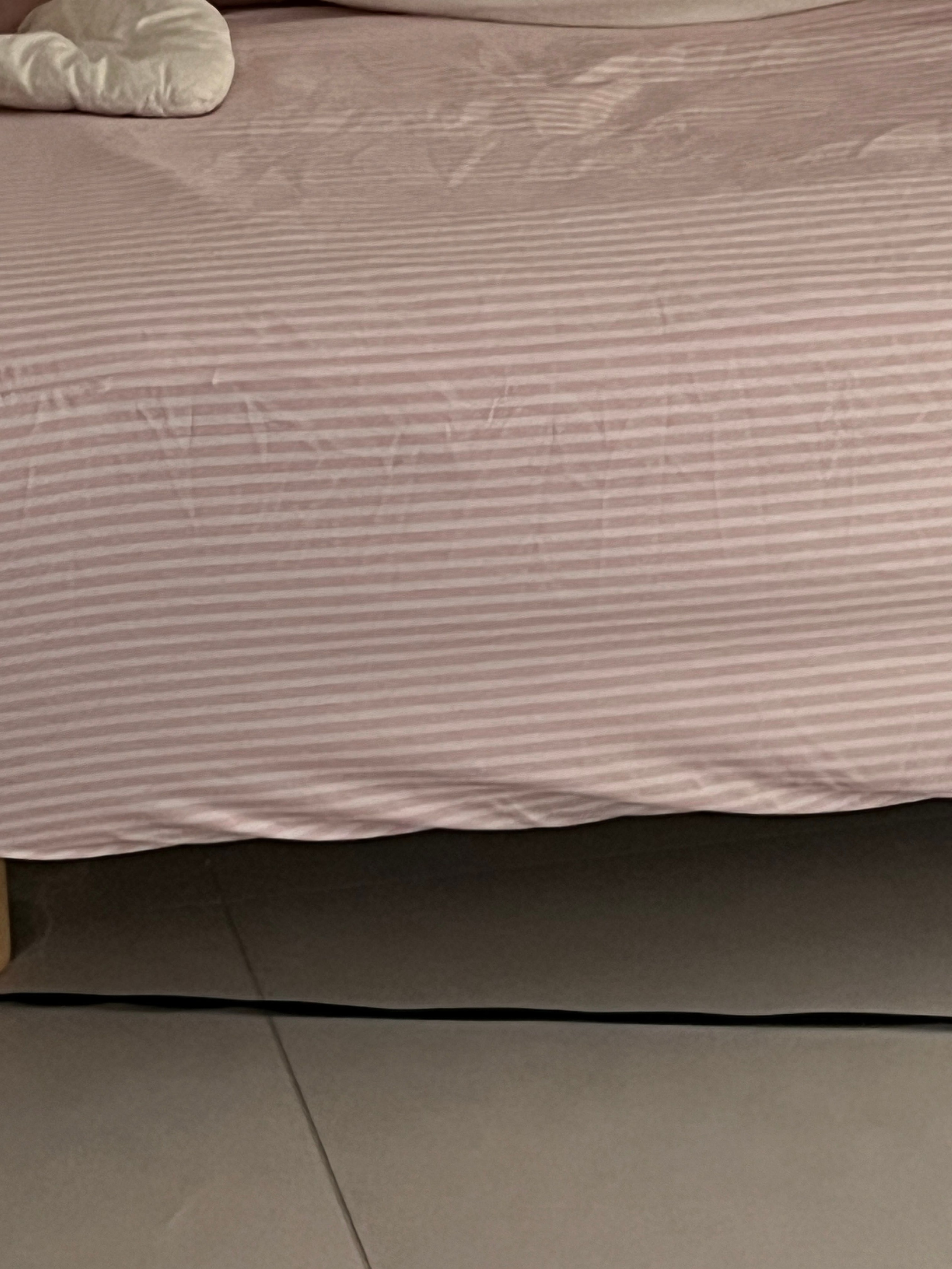 Stripe Dust-Free Mattress Fitted Sheet user photo
