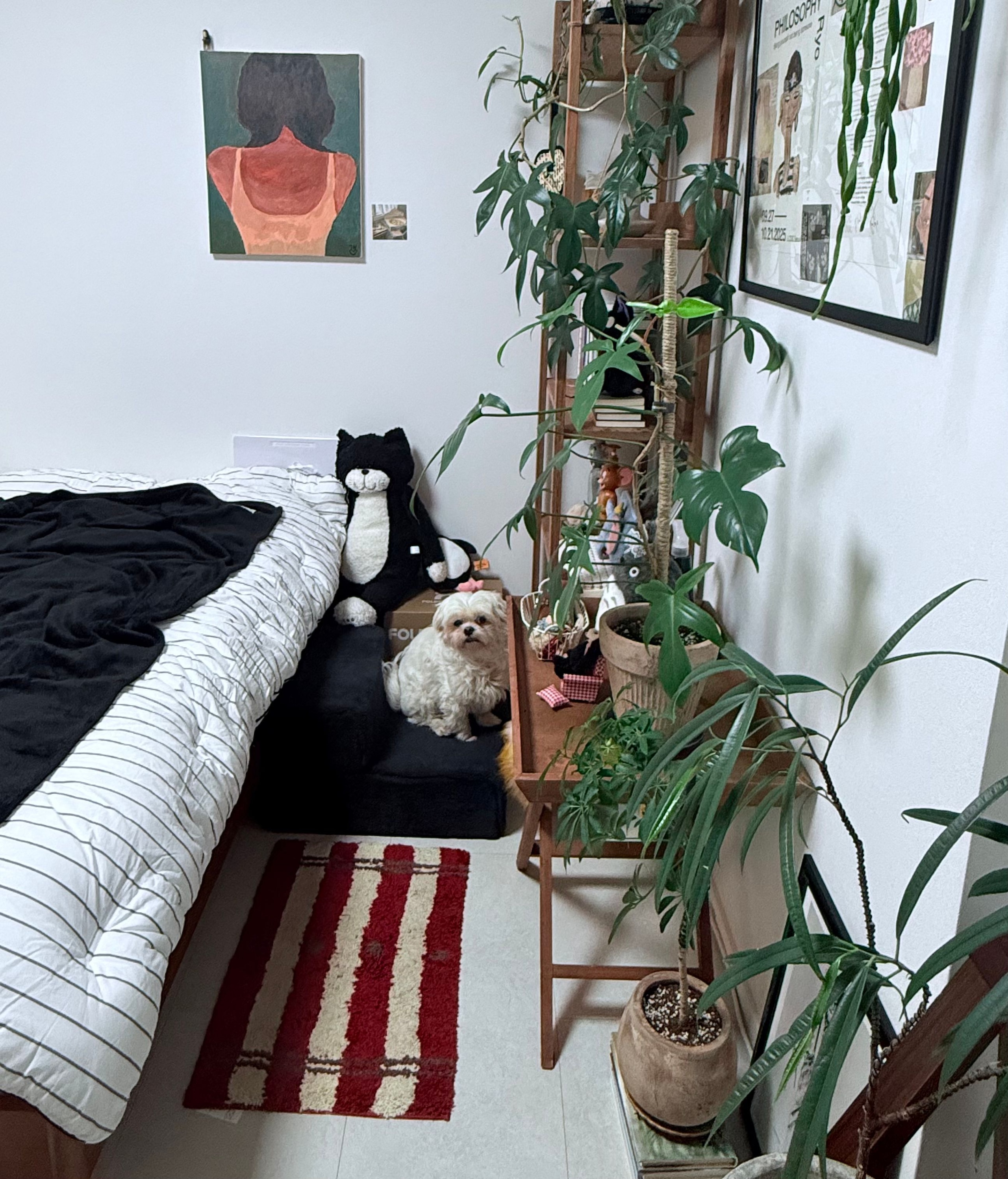 Joy Velvet Mini Rug user photo
